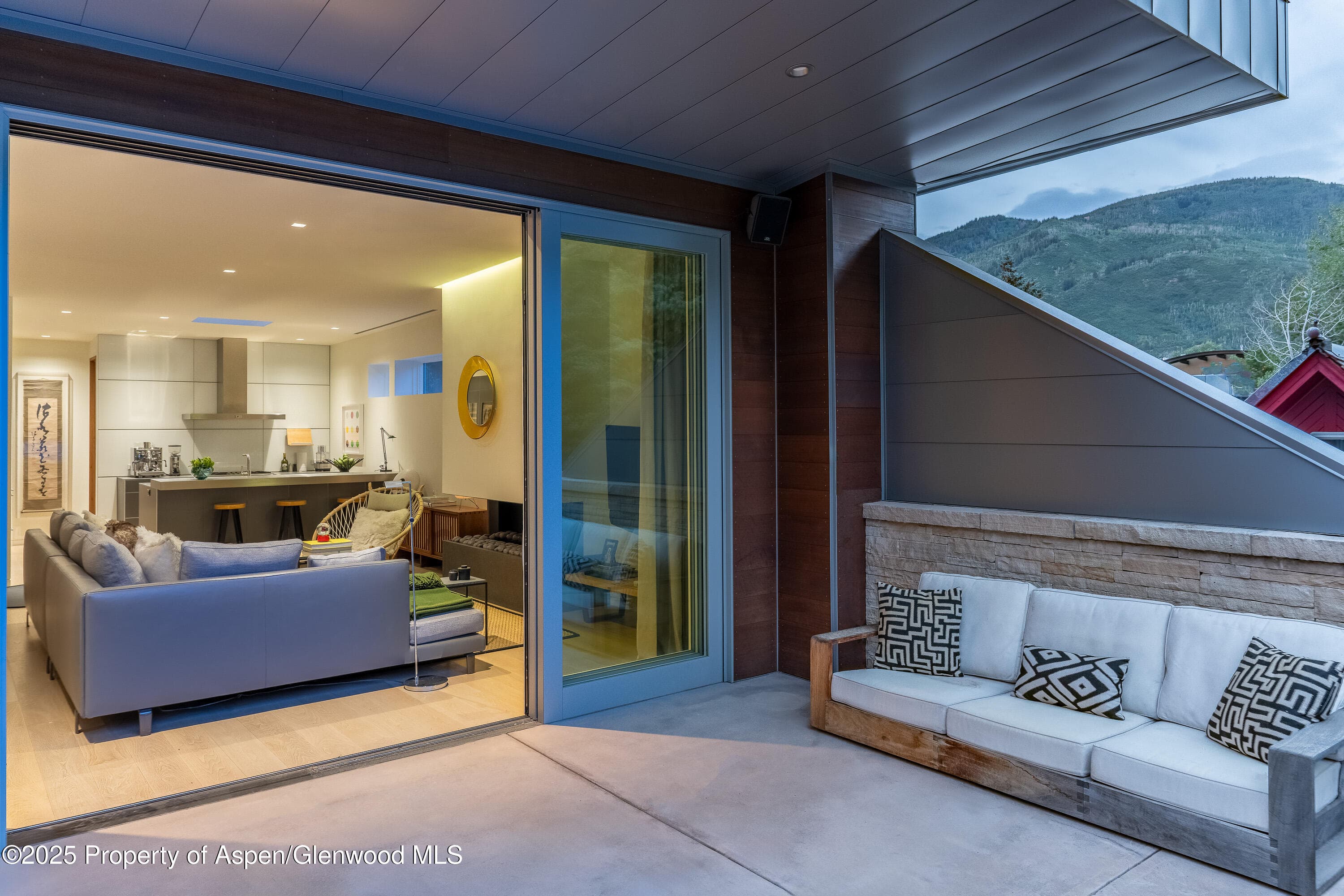 100 E Cooper Avenue 11, Aspen, CO 81611 - Photo 17