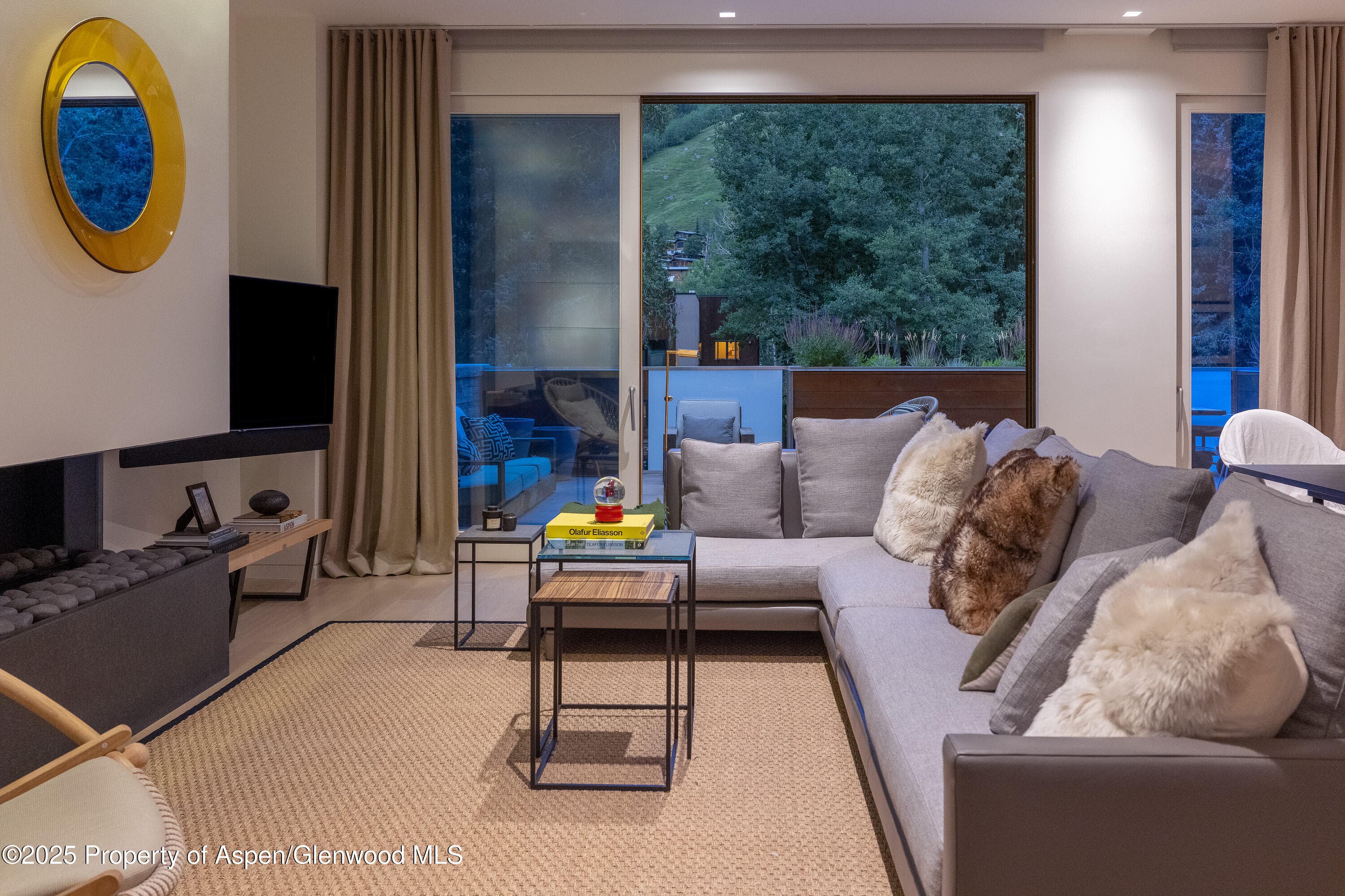 100 E Cooper Avenue 11, Aspen, CO 81611 - Photo 14