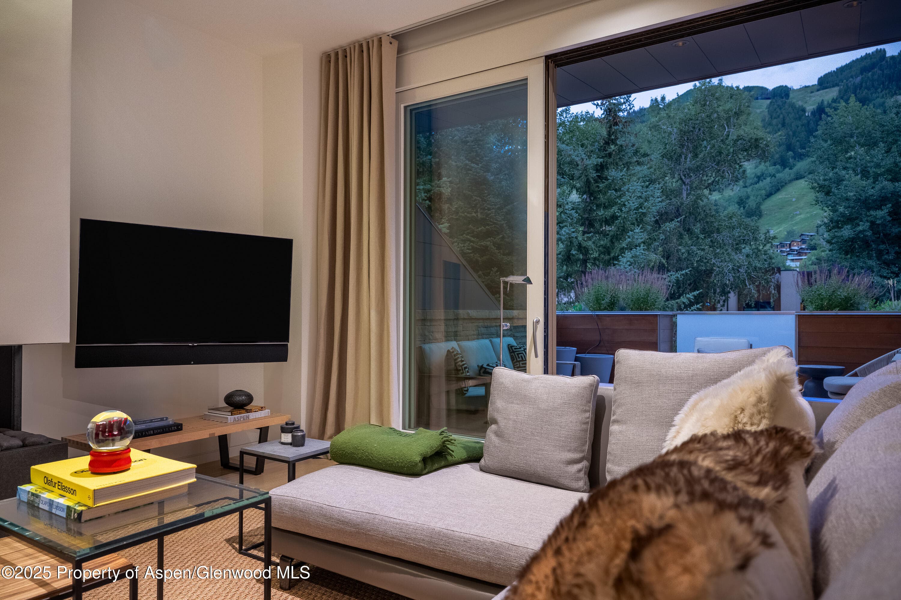 100 E Cooper Avenue 11, Aspen, CO 81611 - Photo 15