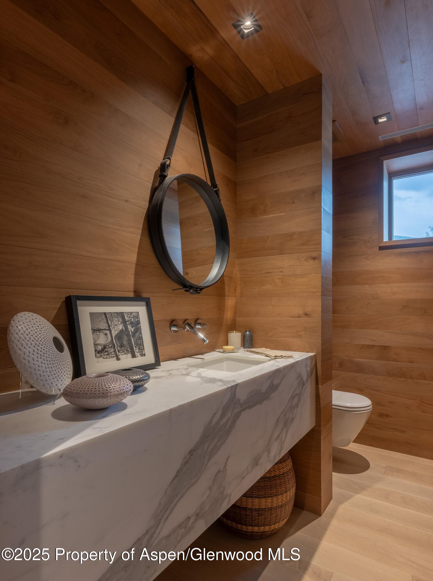 100 E Cooper Avenue 11, Aspen, CO 81611 - Photo 19