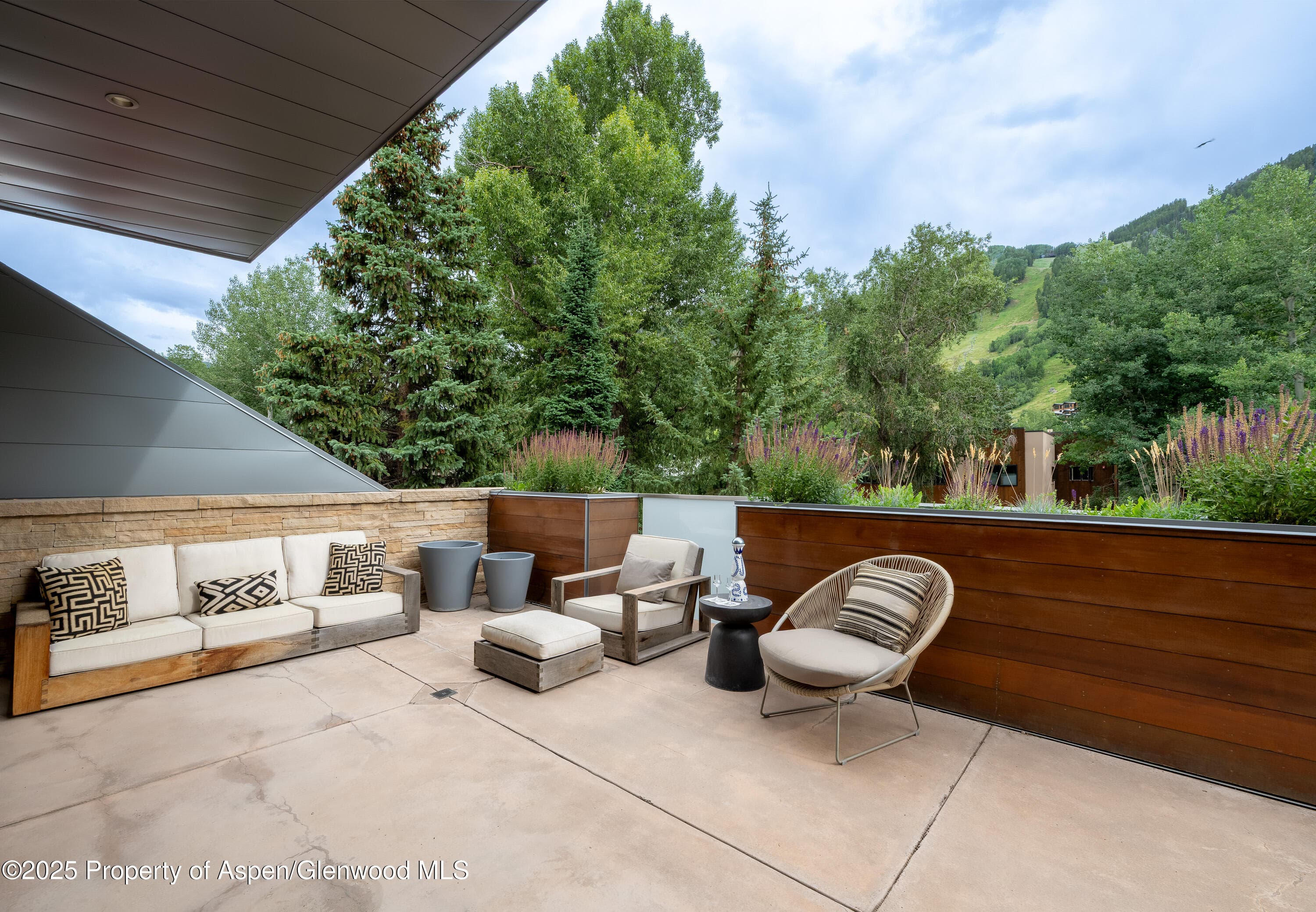 100 E Cooper Avenue 11, Aspen, CO 81611 - Photo 38