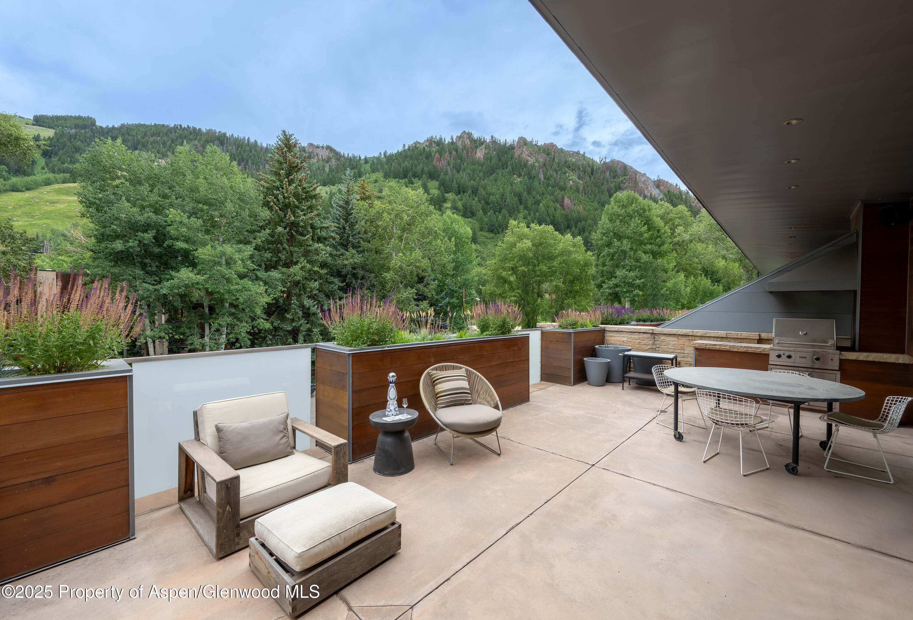 100 E Cooper Avenue 11, Aspen, CO 81611 - Photo 39