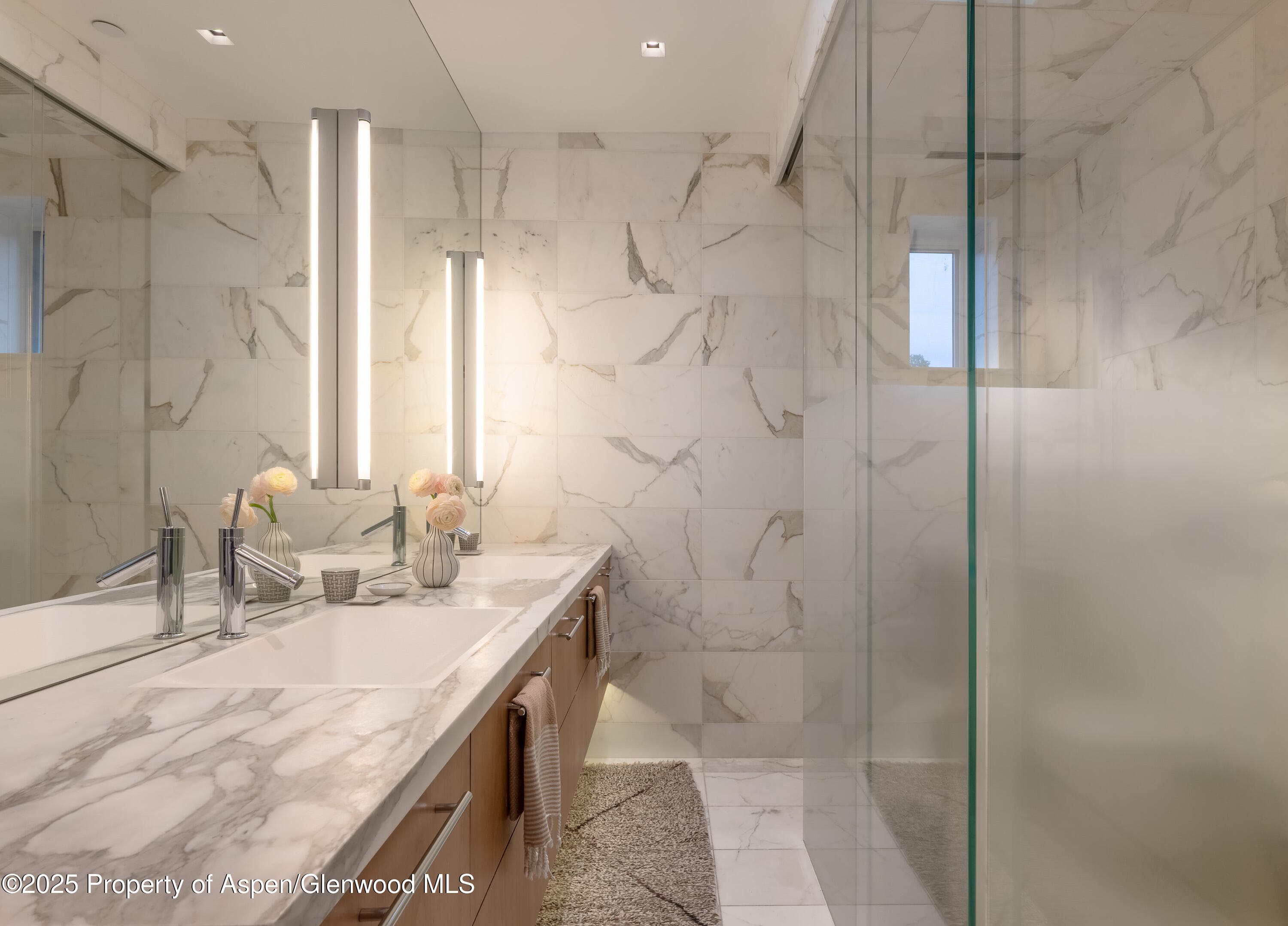 100 E Cooper Avenue 11, Aspen, CO 81611 - Photo 26