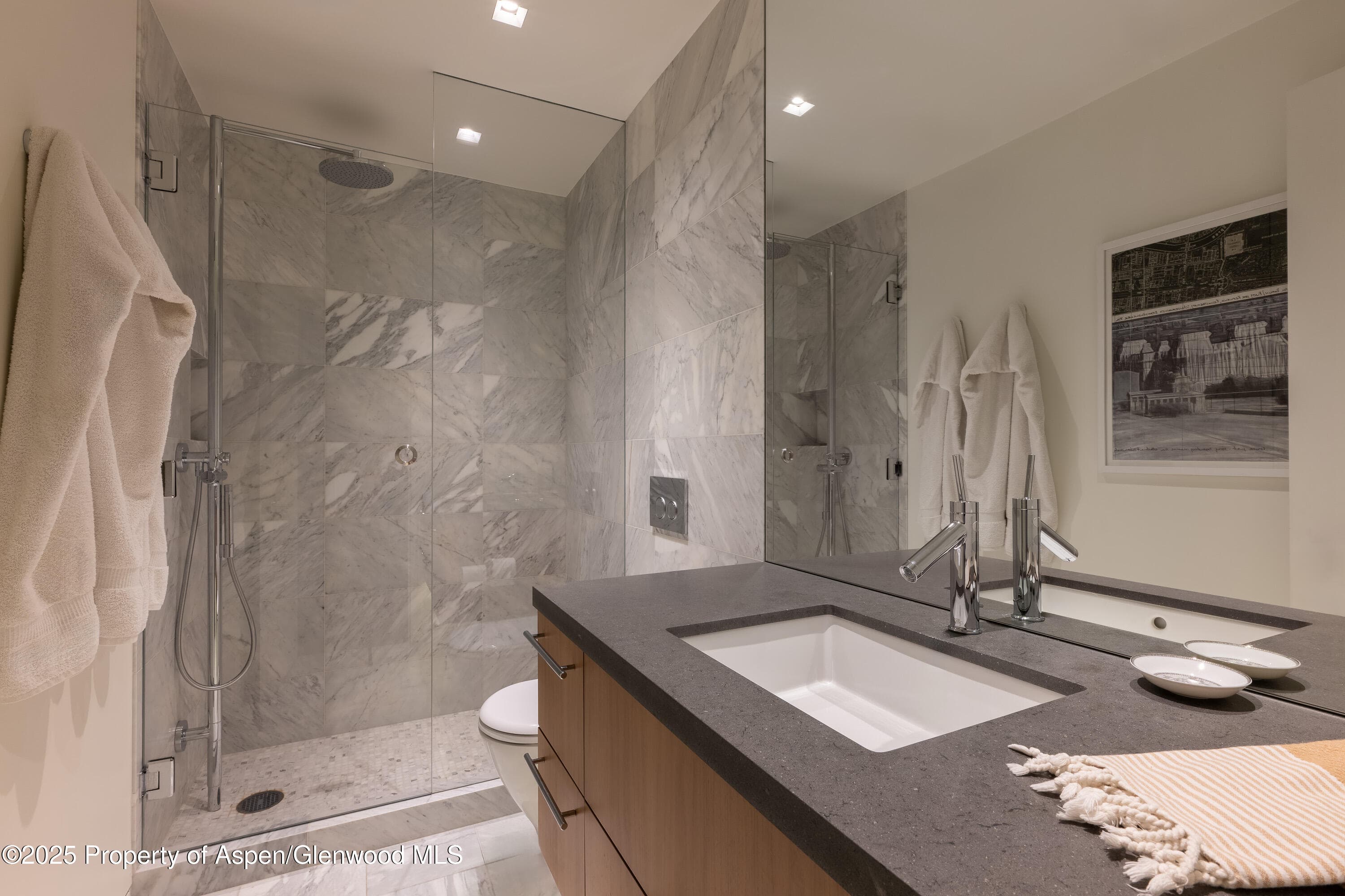 100 E Cooper Avenue 11, Aspen, CO 81611 - Photo 36