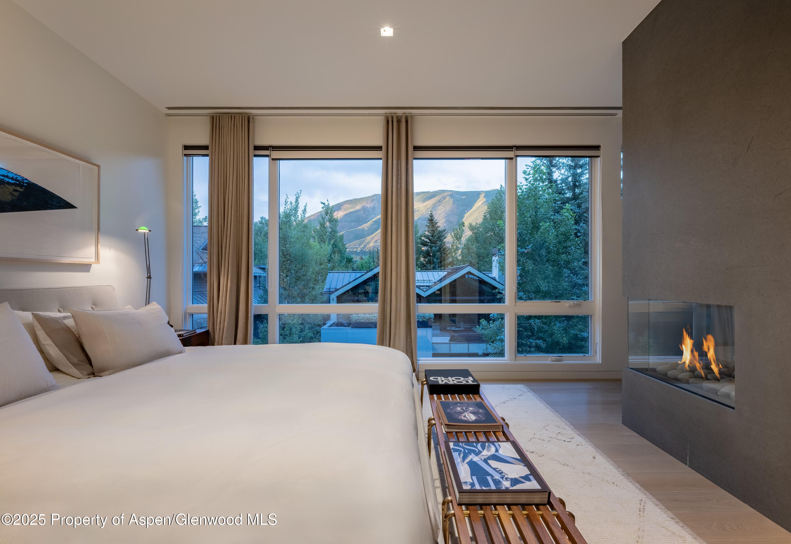 100 E Cooper Avenue 11, Aspen, CO 81611 - Photo 18