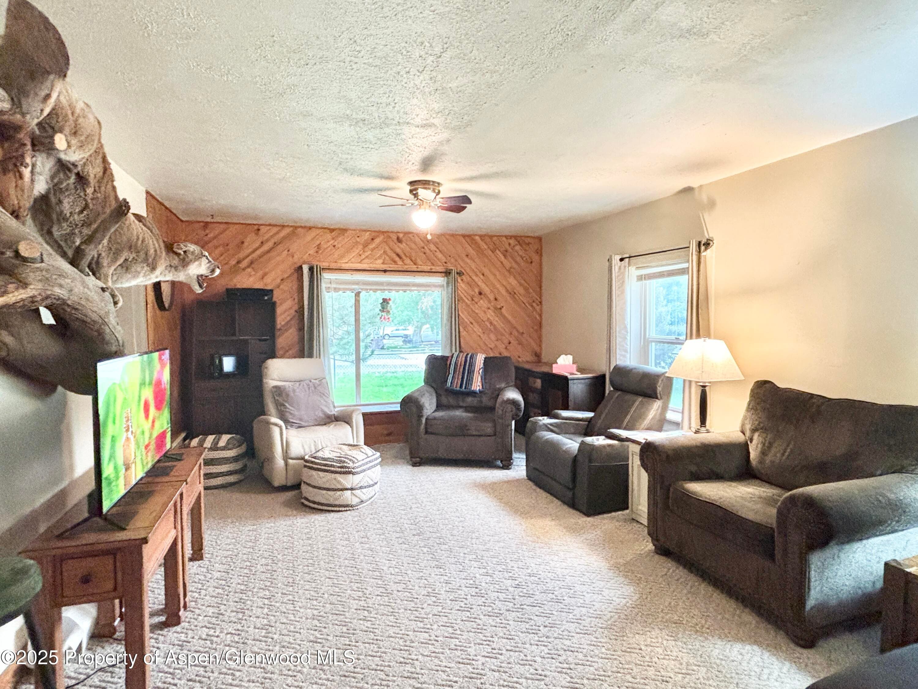 683 Water Street, Meeker, CO 81641 - Photo 6