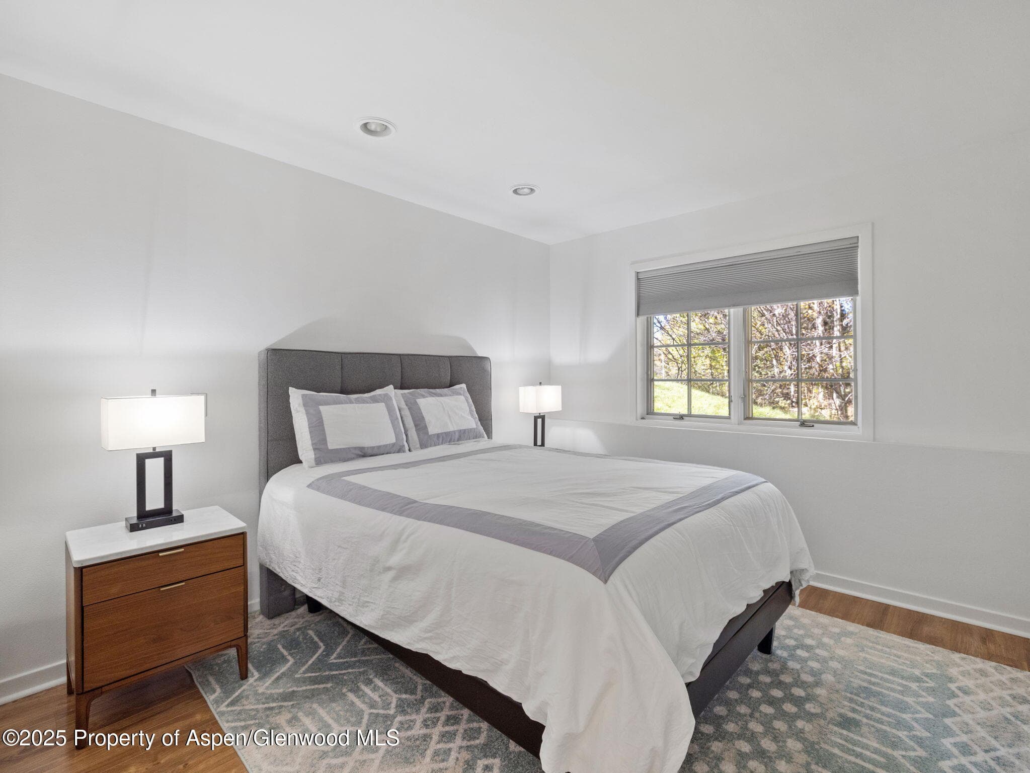 715 Willoughby Way, Aspen, CO 81611 - Photo 46