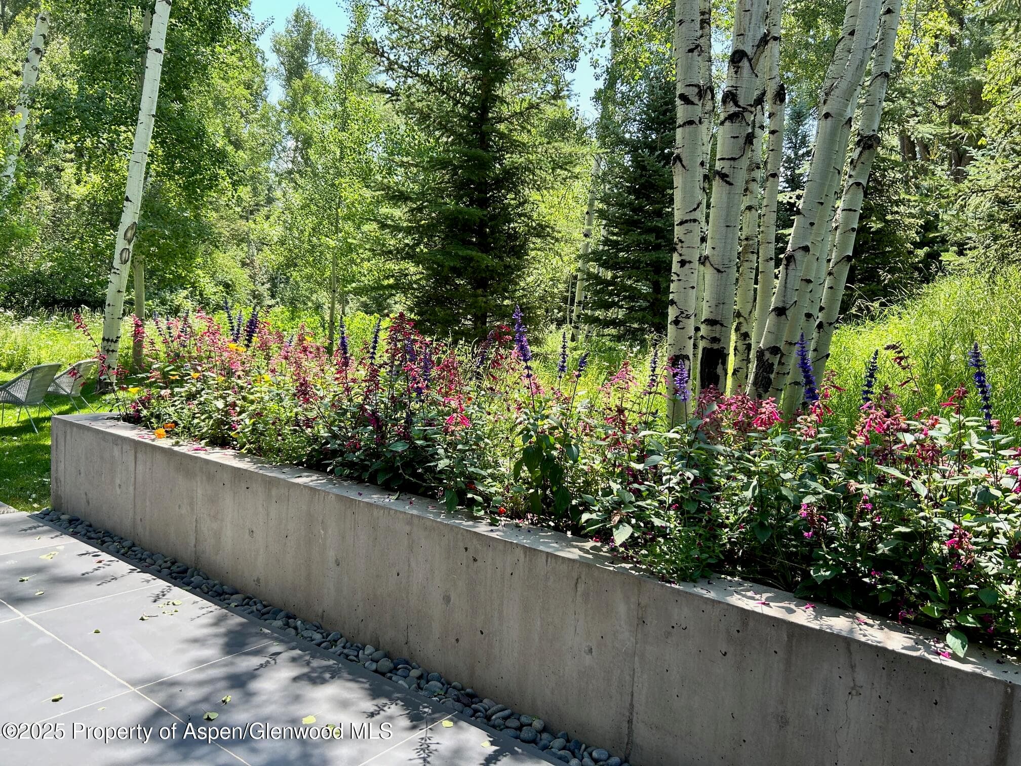 1180 Black Birch Drive, Aspen, CO 81611 - Photo 31