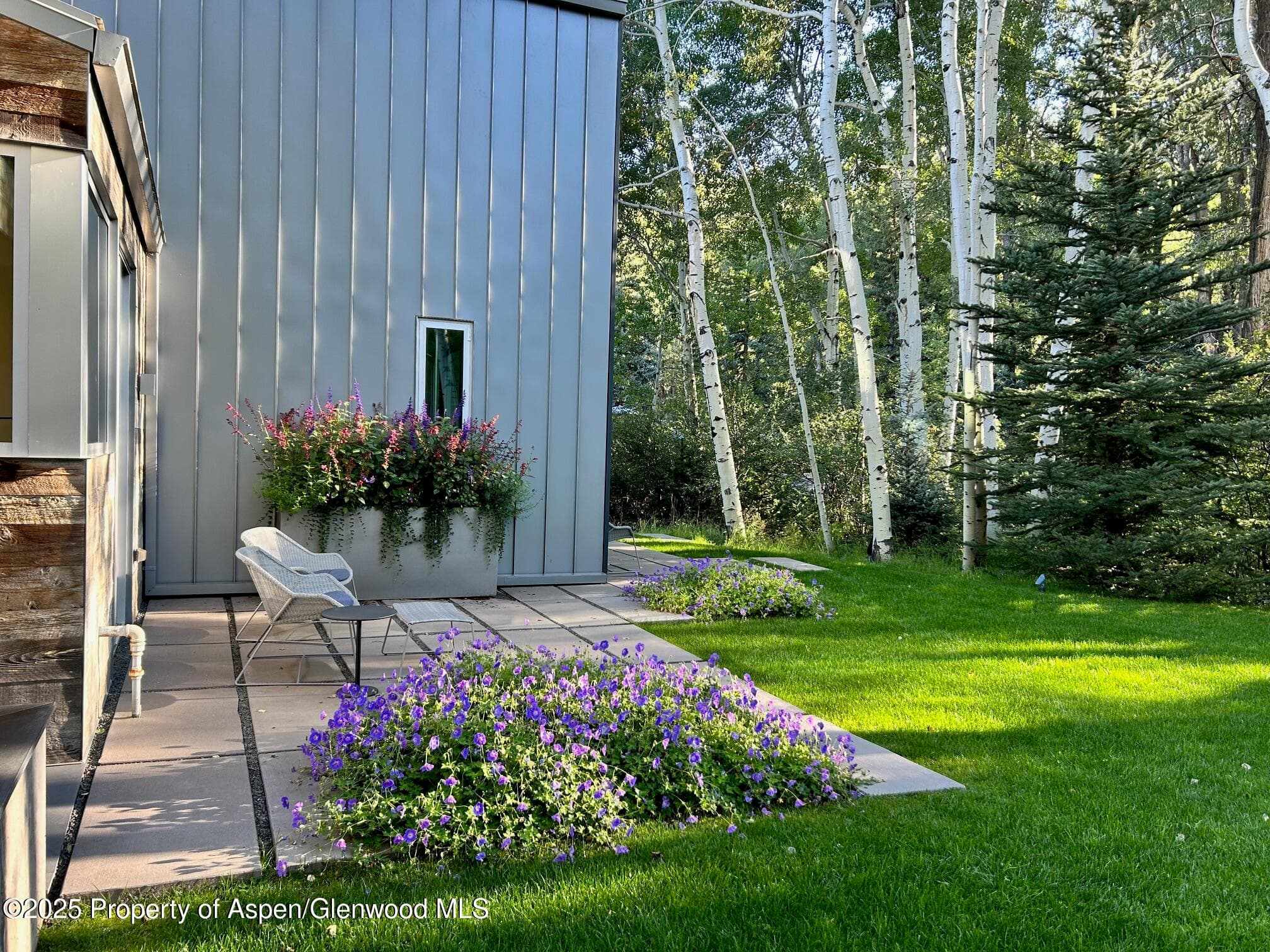 1180 Black Birch Drive, Aspen, CO 81611 - Photo 27
