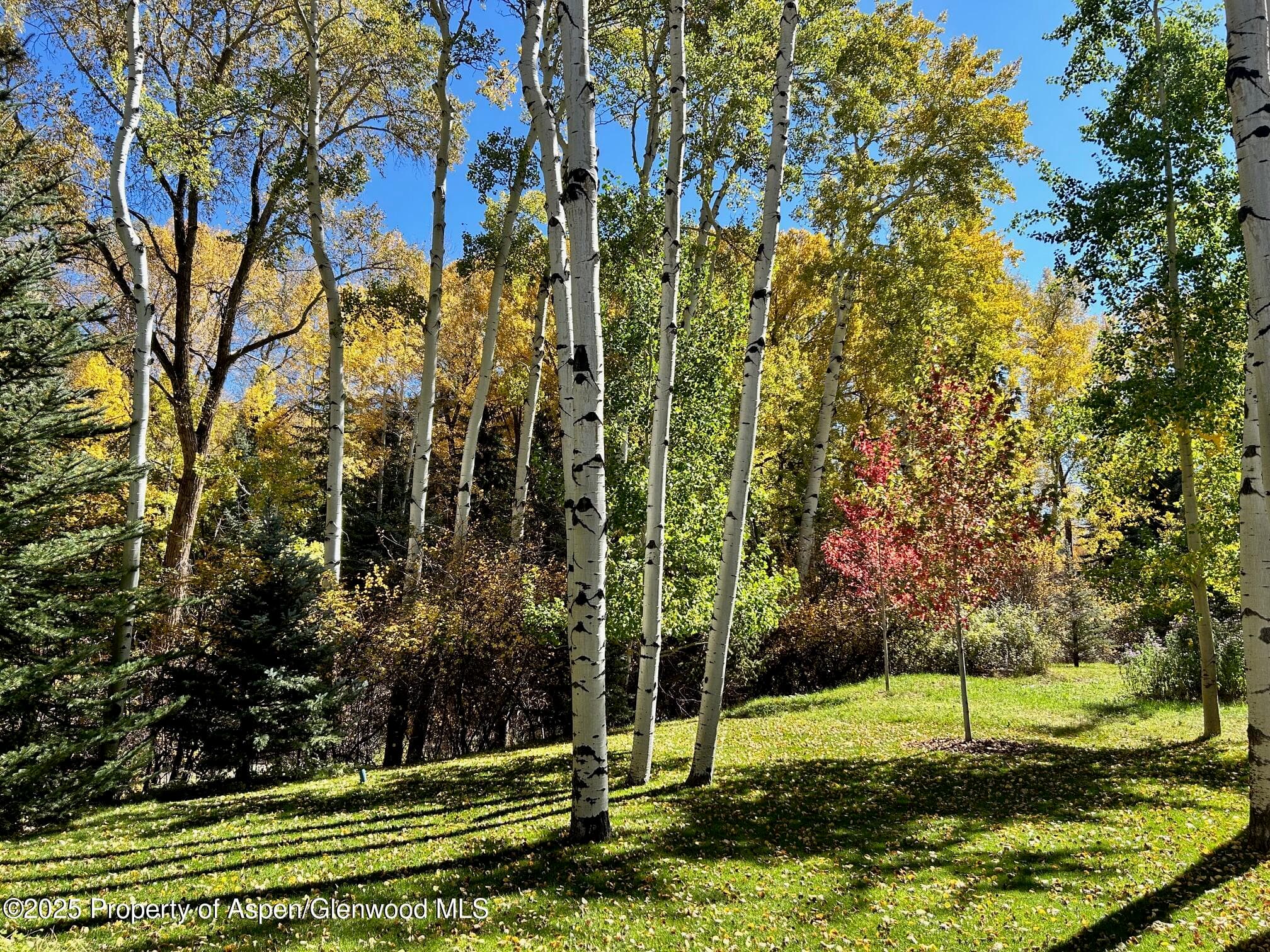 1180 Black Birch Drive, Aspen, CO 81611 - Photo 28