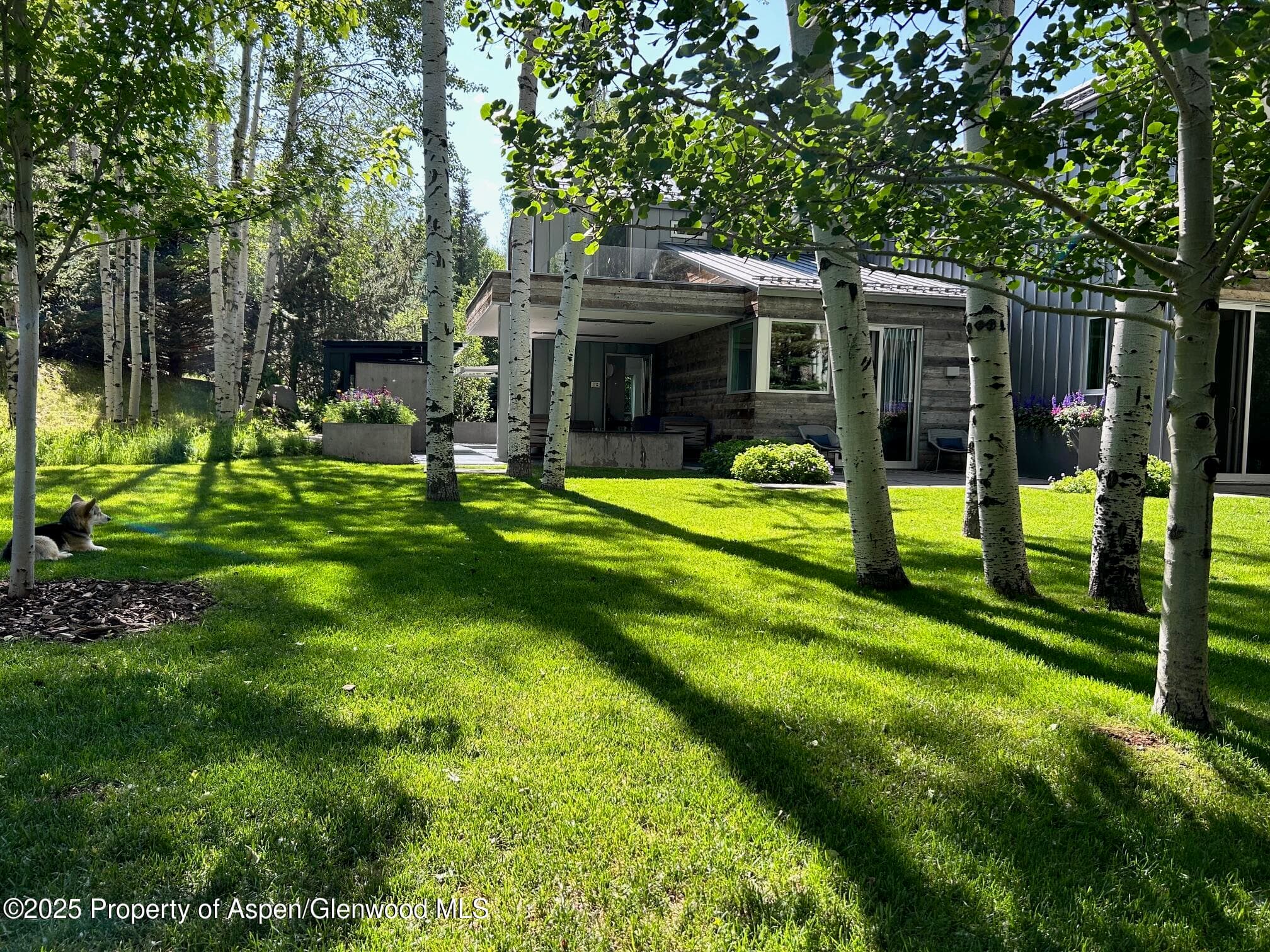 1180 Black Birch Drive, Aspen, CO 81611 - Photo 30