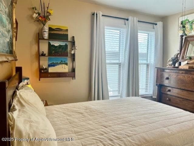 172 E 4th Street, Palisade, CO 81526 - Photo 15