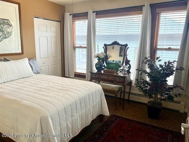 172 E 4th Street, Palisade, CO 81526 - Photo 17