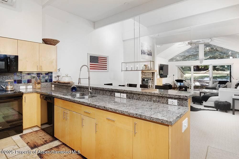 625 S West End Street 8, Aspen, CO 81611 - Photo 5