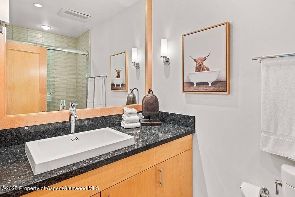 625 S West End Street 8, Aspen, CO 81611 - Photo 13