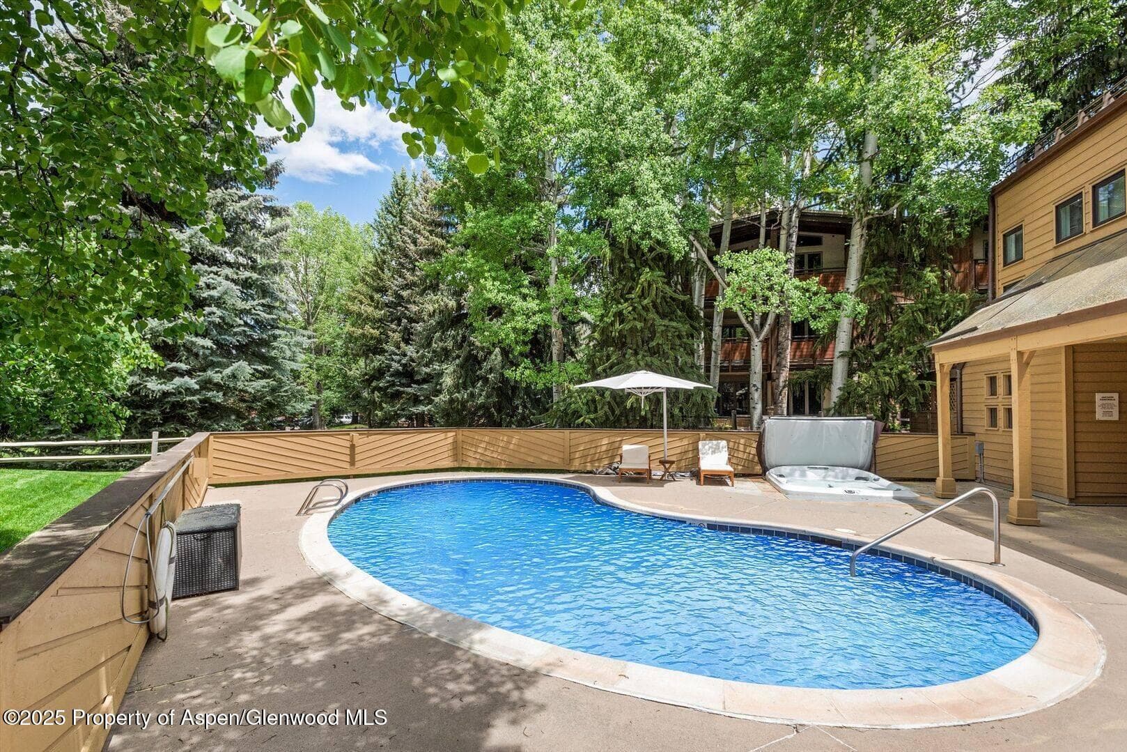 625 S West End Street 8, Aspen, CO 81611 - Photo 19