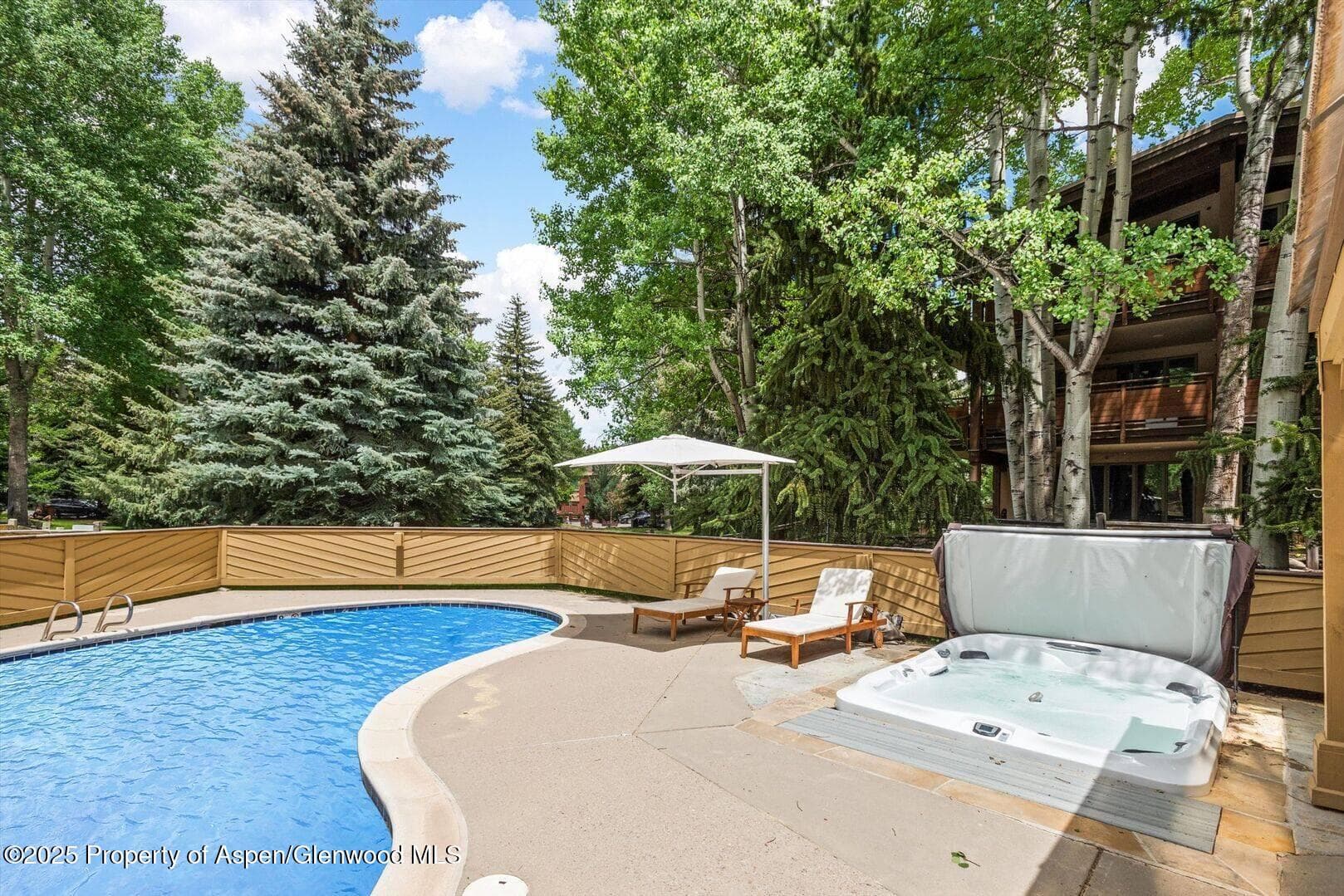 625 S West End Street 8, Aspen, CO 81611 - Photo 20