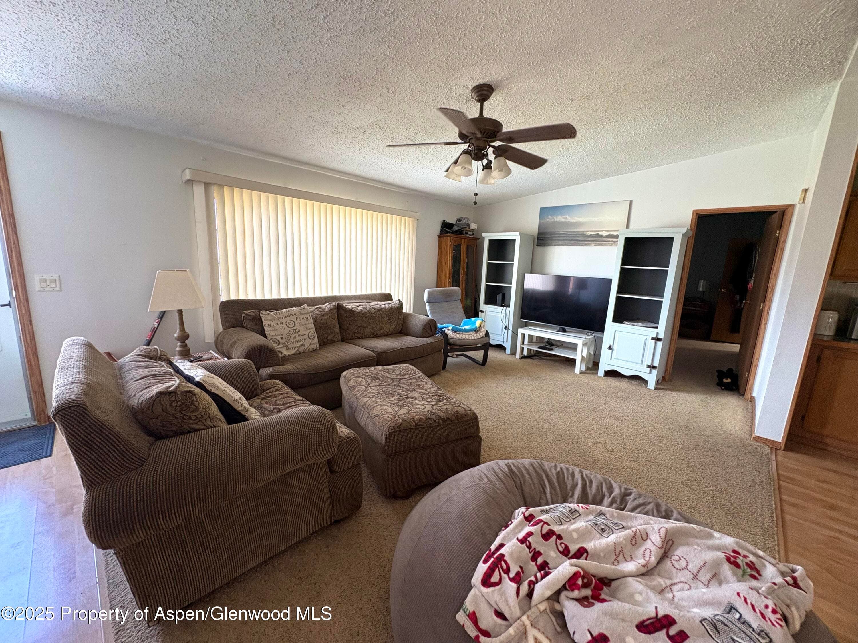 100 Logans Lane, Parachute, CO 81635 - Photo 6