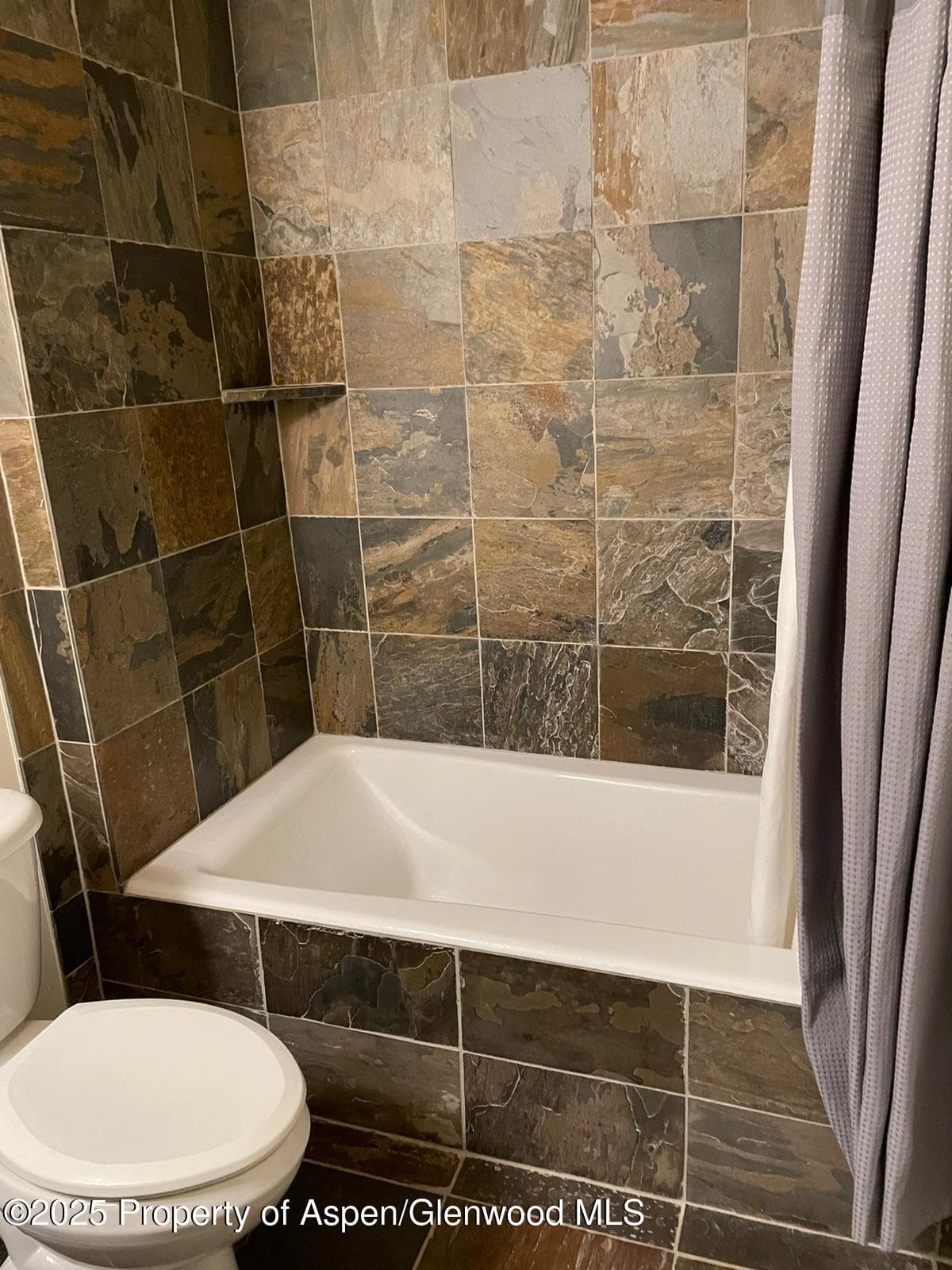 361 Robinson Street 242, Basalt, CO 81621 - Photo 11
