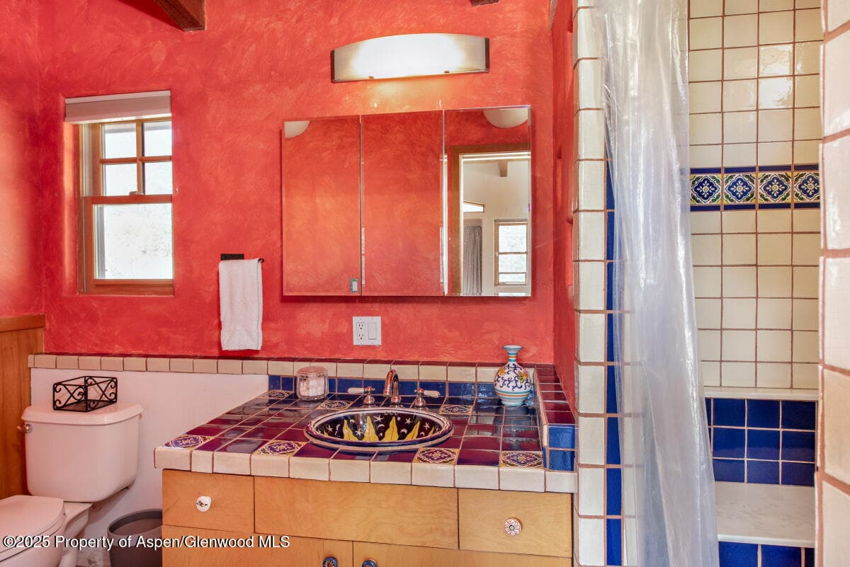 504 Crystal Circle, Carbondale, CO 81623 - Photo 20