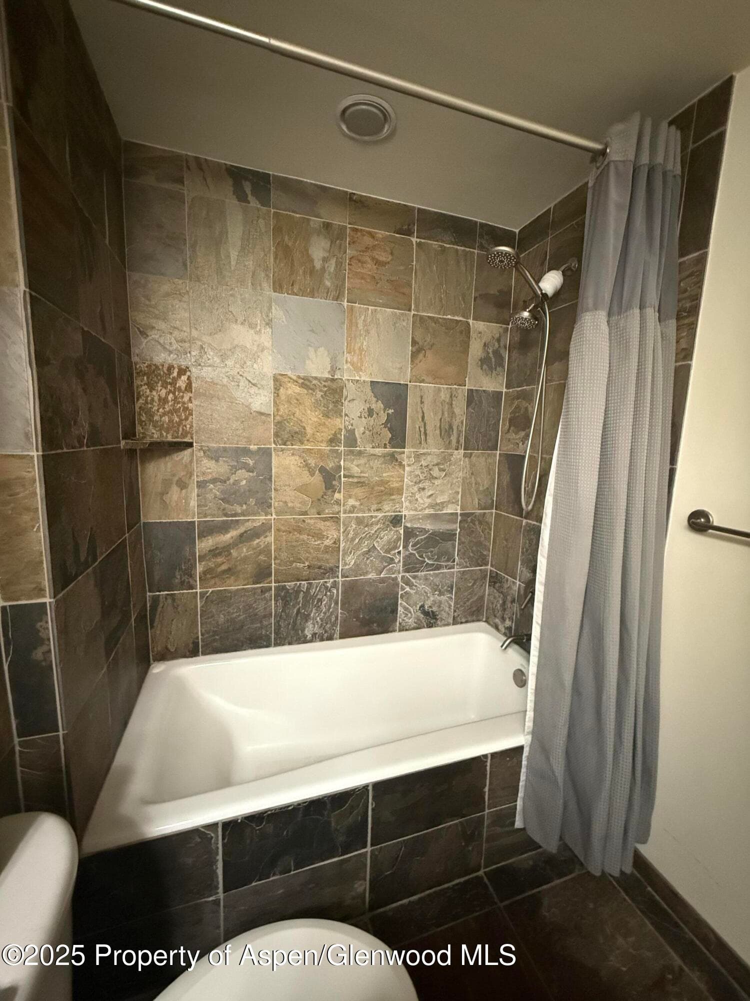 361 Robinson Street 242, Basalt, CO 81621 - Photo 10
