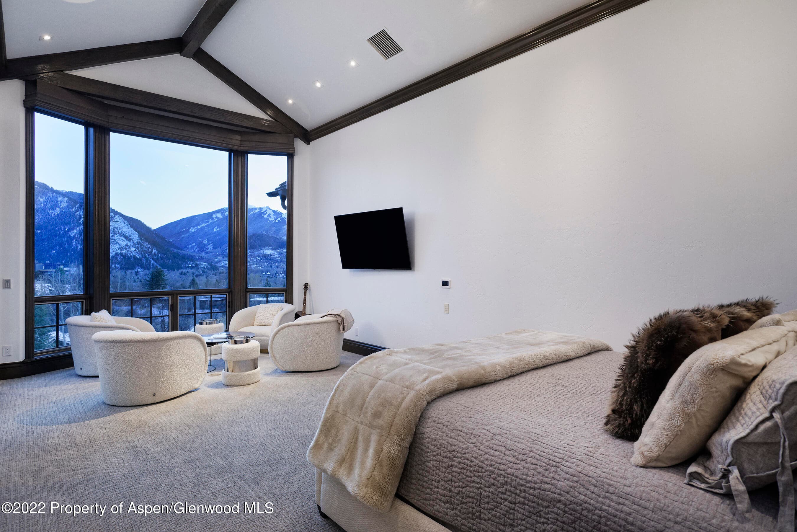 349 Draw Drive, Aspen, CO 81611 - Photo 12