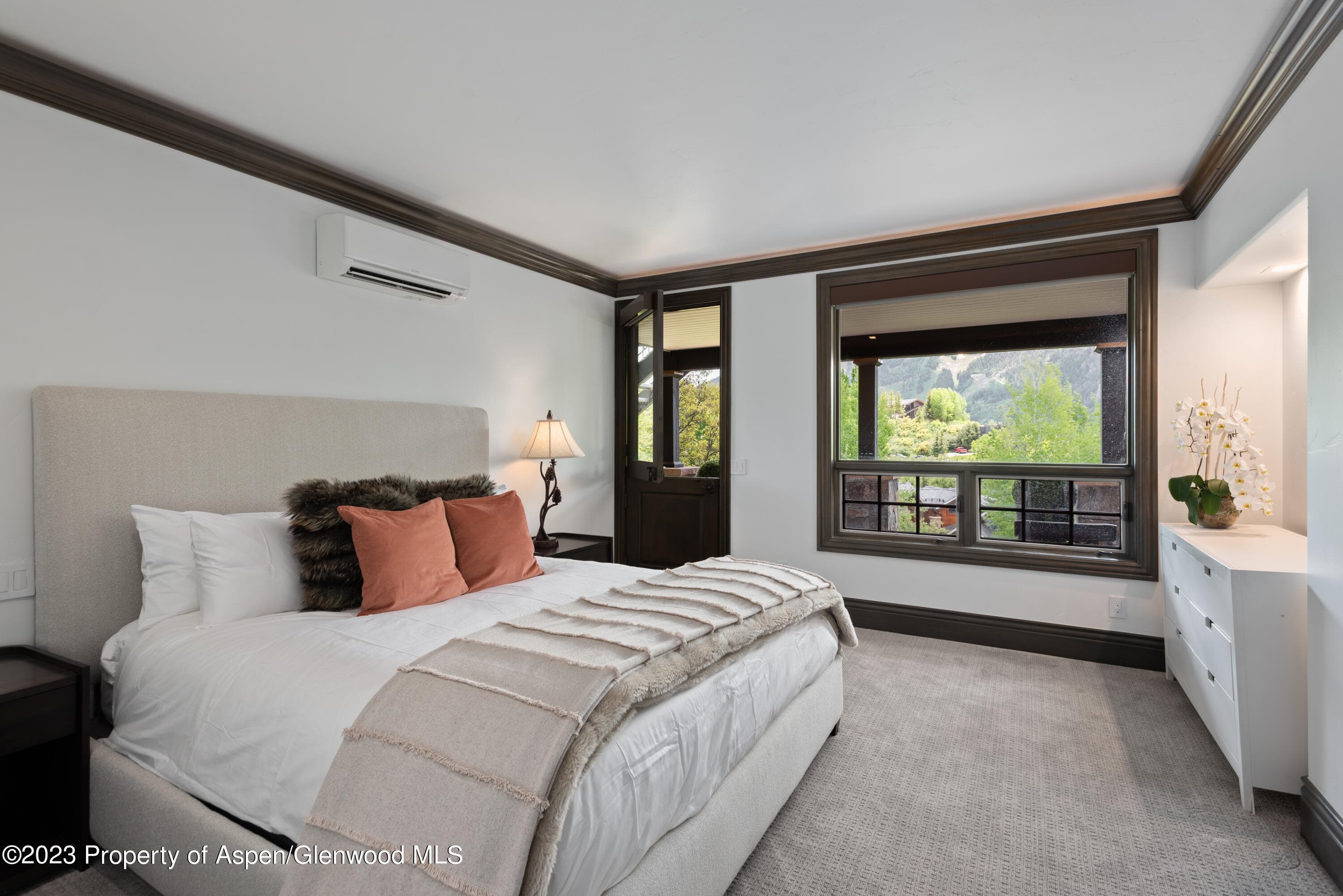 349 Draw Drive, Aspen, CO 81611 - Photo 19