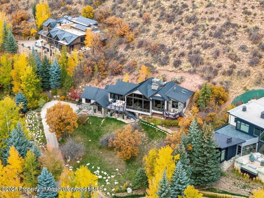 349 Draw Drive, Aspen, CO 81611 - Photo 31