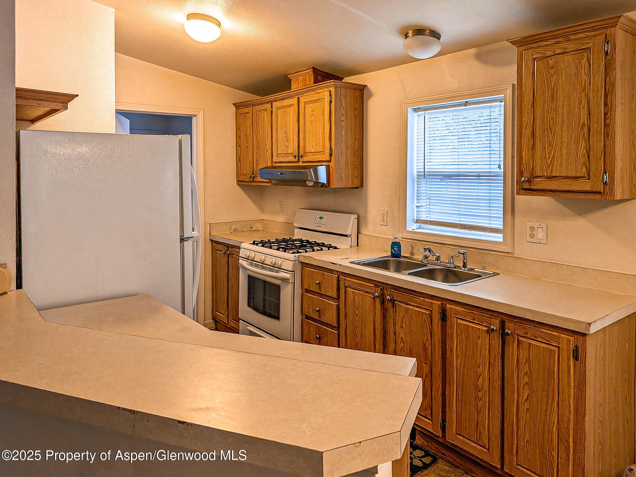 1031 Sprucewood Lane, Glenwood Springs, CO 81601 - Photo 4