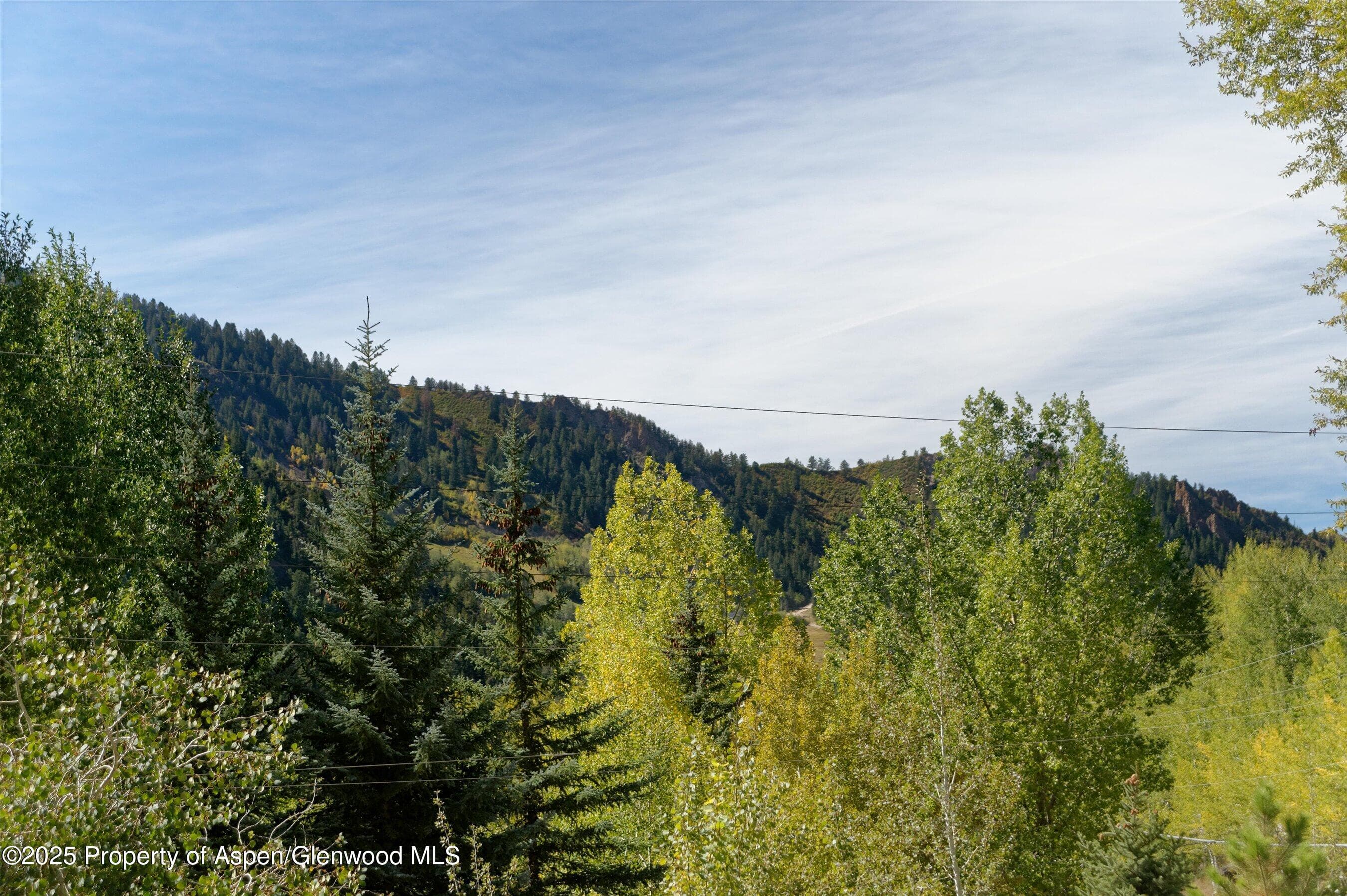 39 Roaring Fork Drive, Aspen, CO 81611 - Photo 5