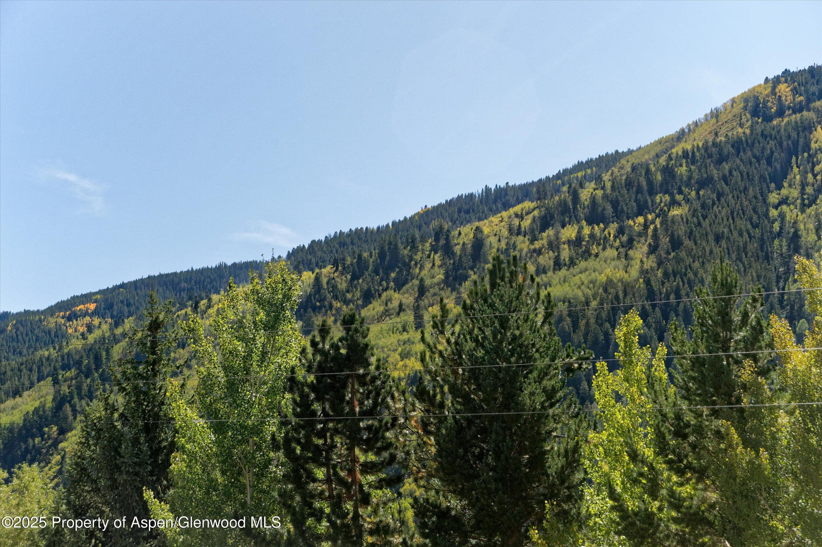 39 Roaring Fork Drive, Aspen, CO 81611 - Photo 6
