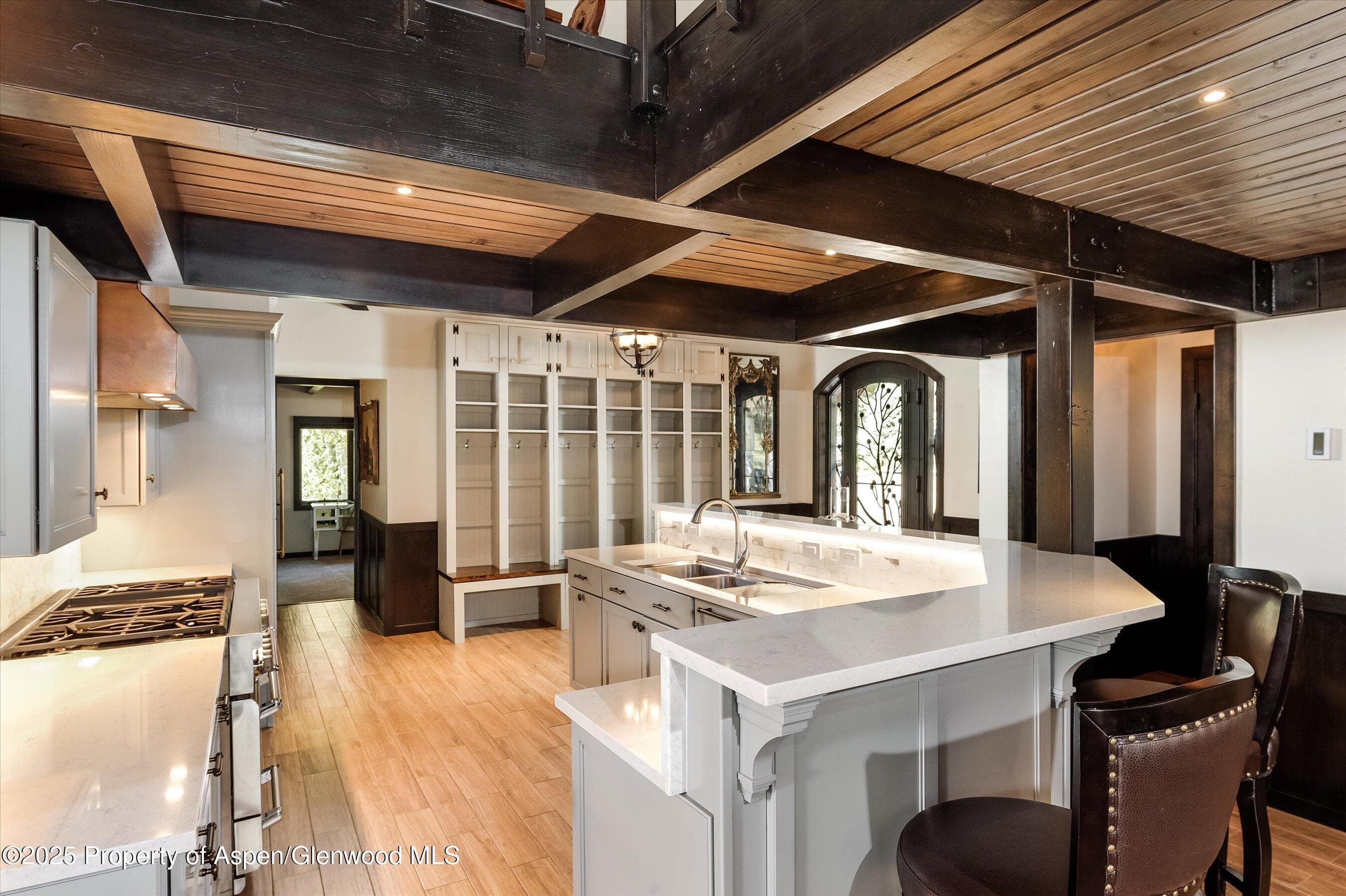 39 Roaring Fork Drive, Aspen, CO 81611 - Photo 15