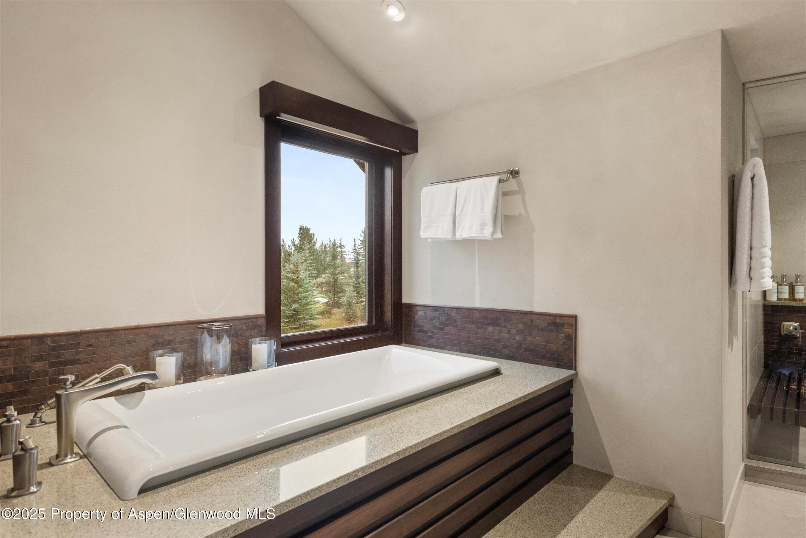 101 Byers Court, Aspen, CO 81611 - Photo 23