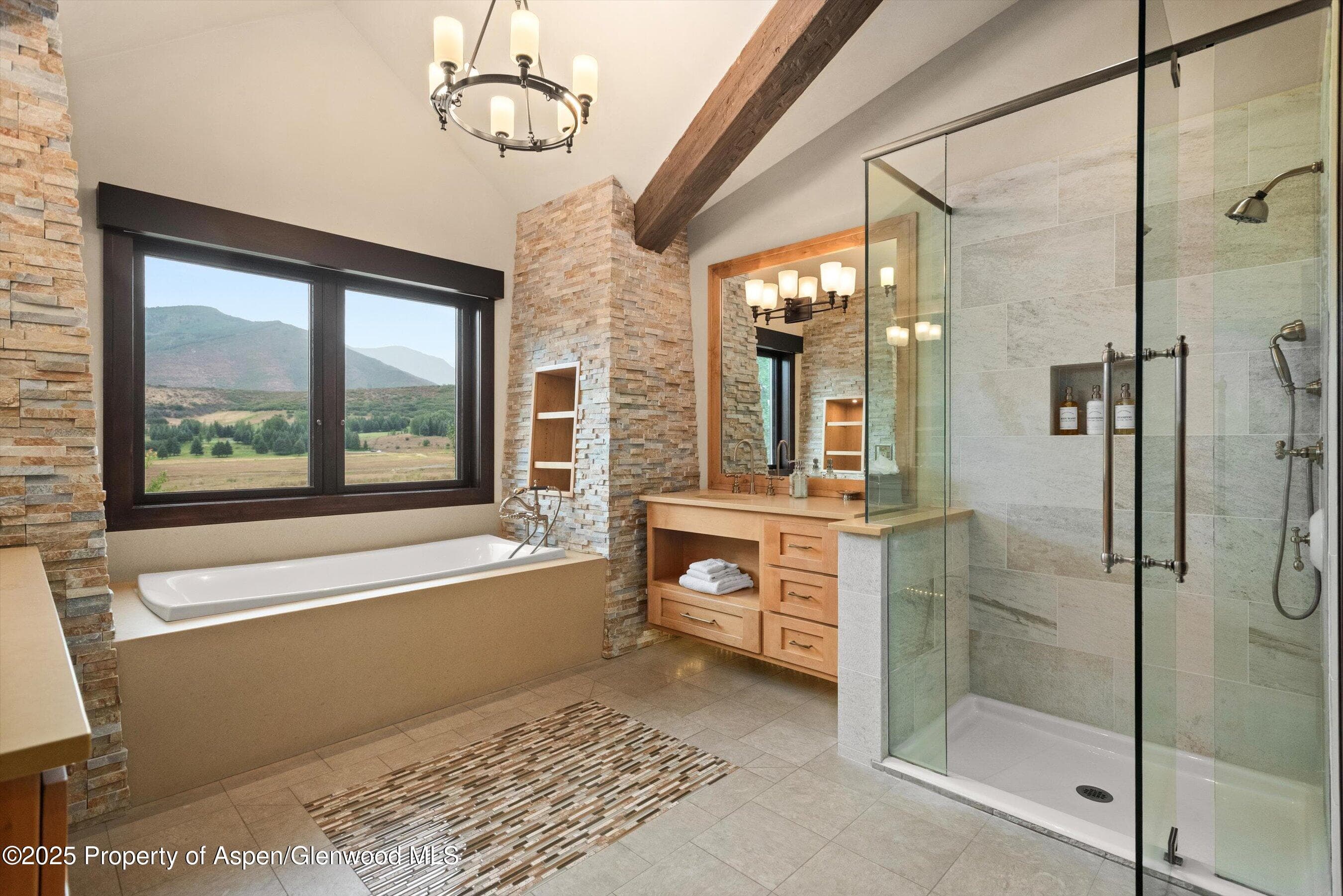 101 Byers Court, Aspen, CO 81611 - Photo 19