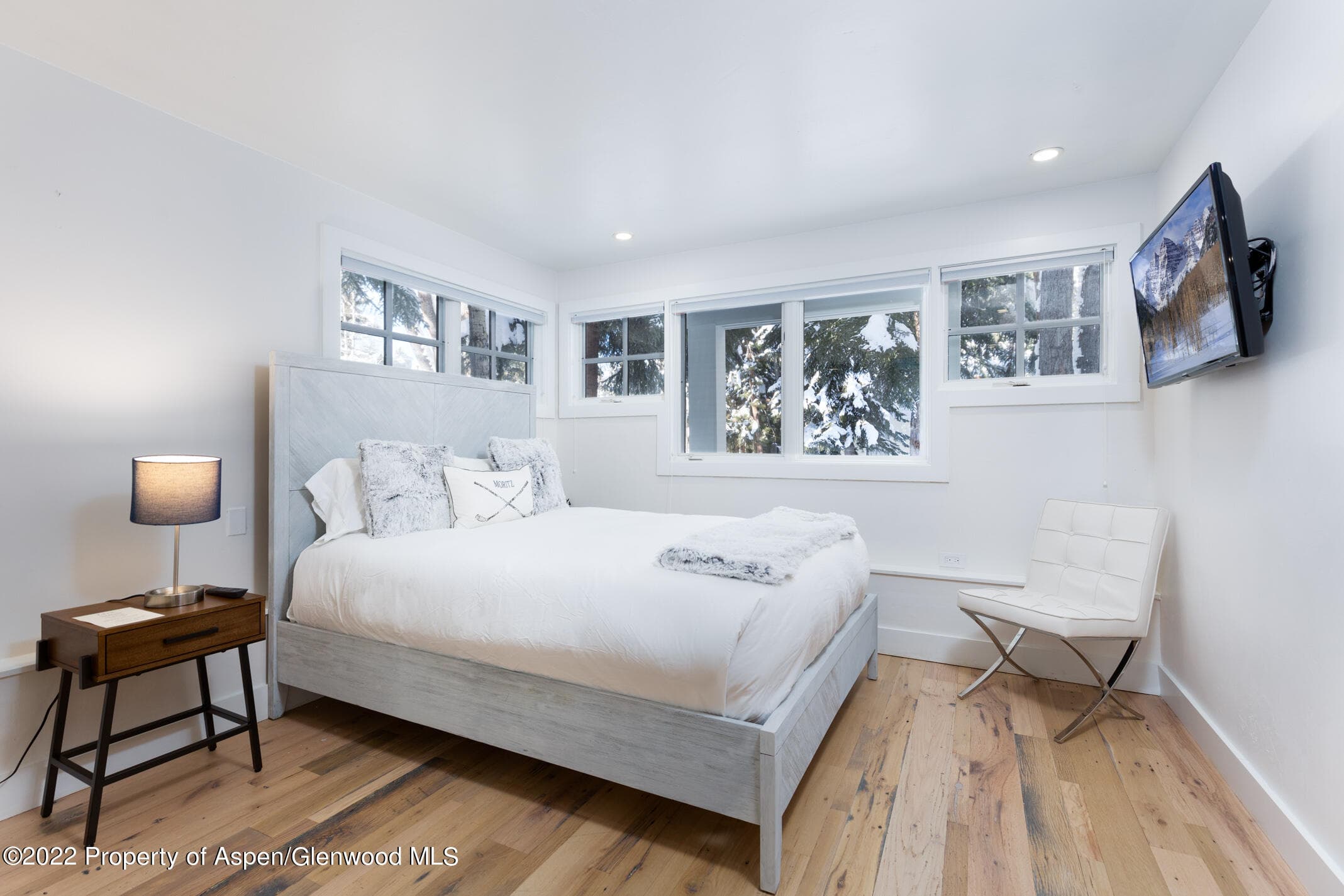 437 W Smuggler Street, Aspen, CO 81611 - Photo 23