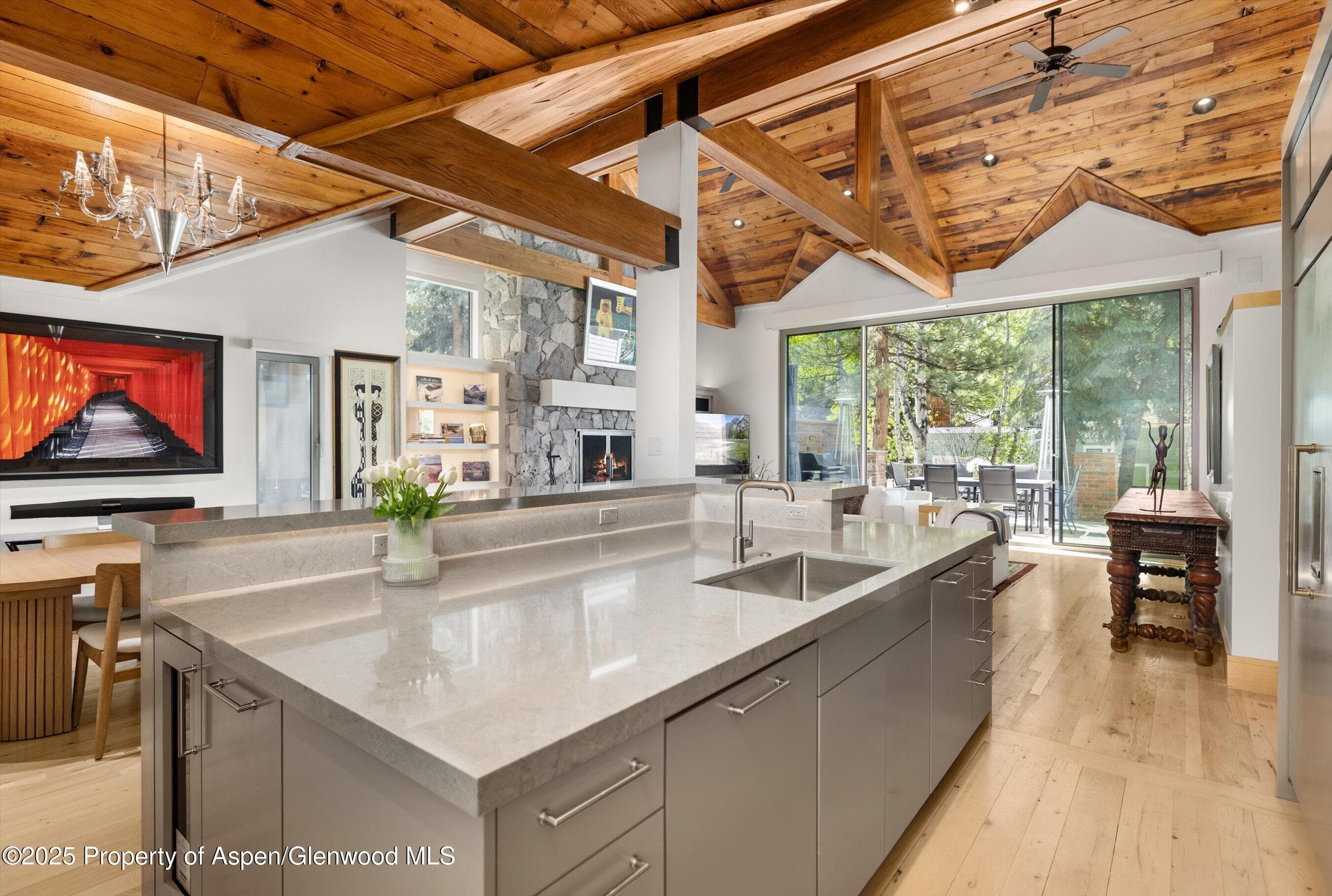437 W Smuggler Street, Aspen, CO 81611 - Photo 9