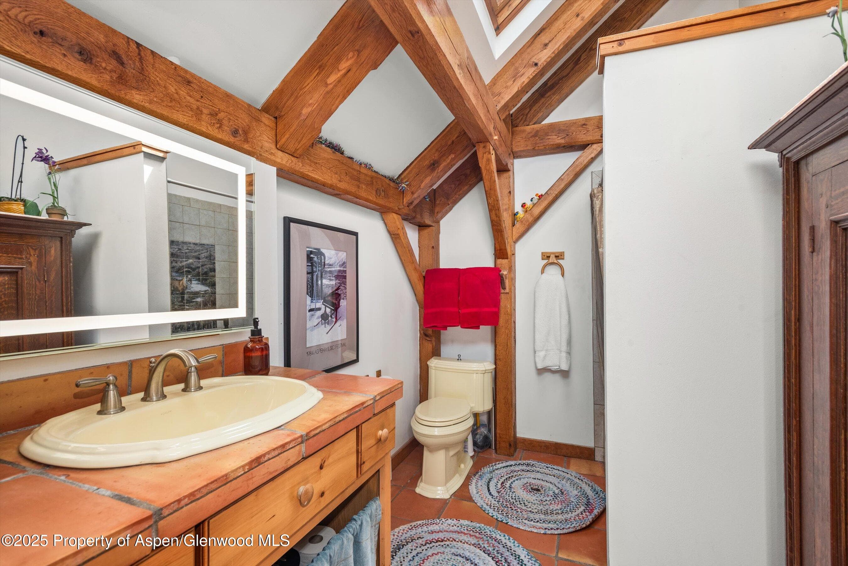 927 Red Mountain Road, Aspen, CO 81611 - Photo 21