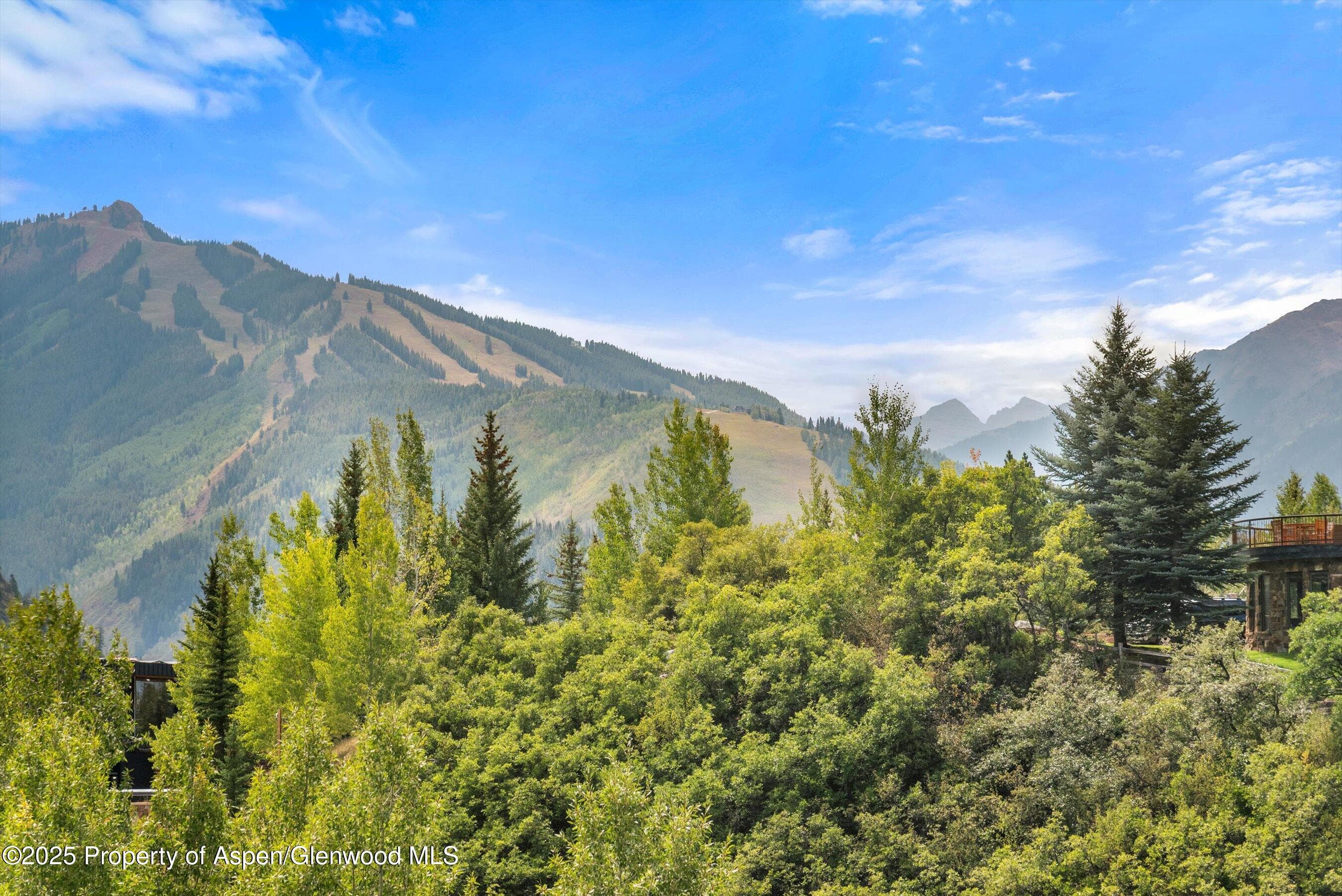 927 Red Mountain Road, Aspen, CO 81611 - Photo 32