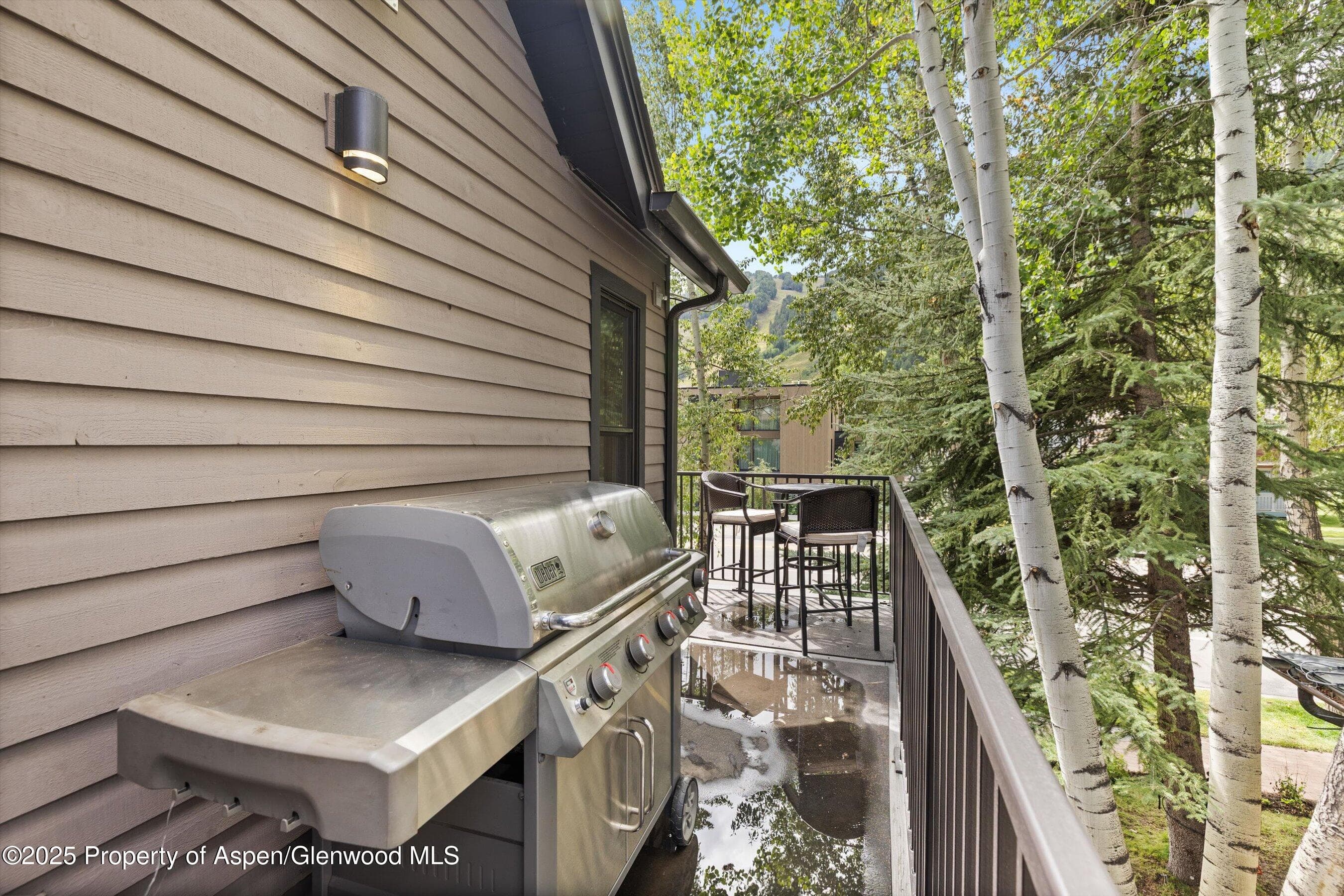 122 W Main Street, Aspen, CO 81611 - Photo 61