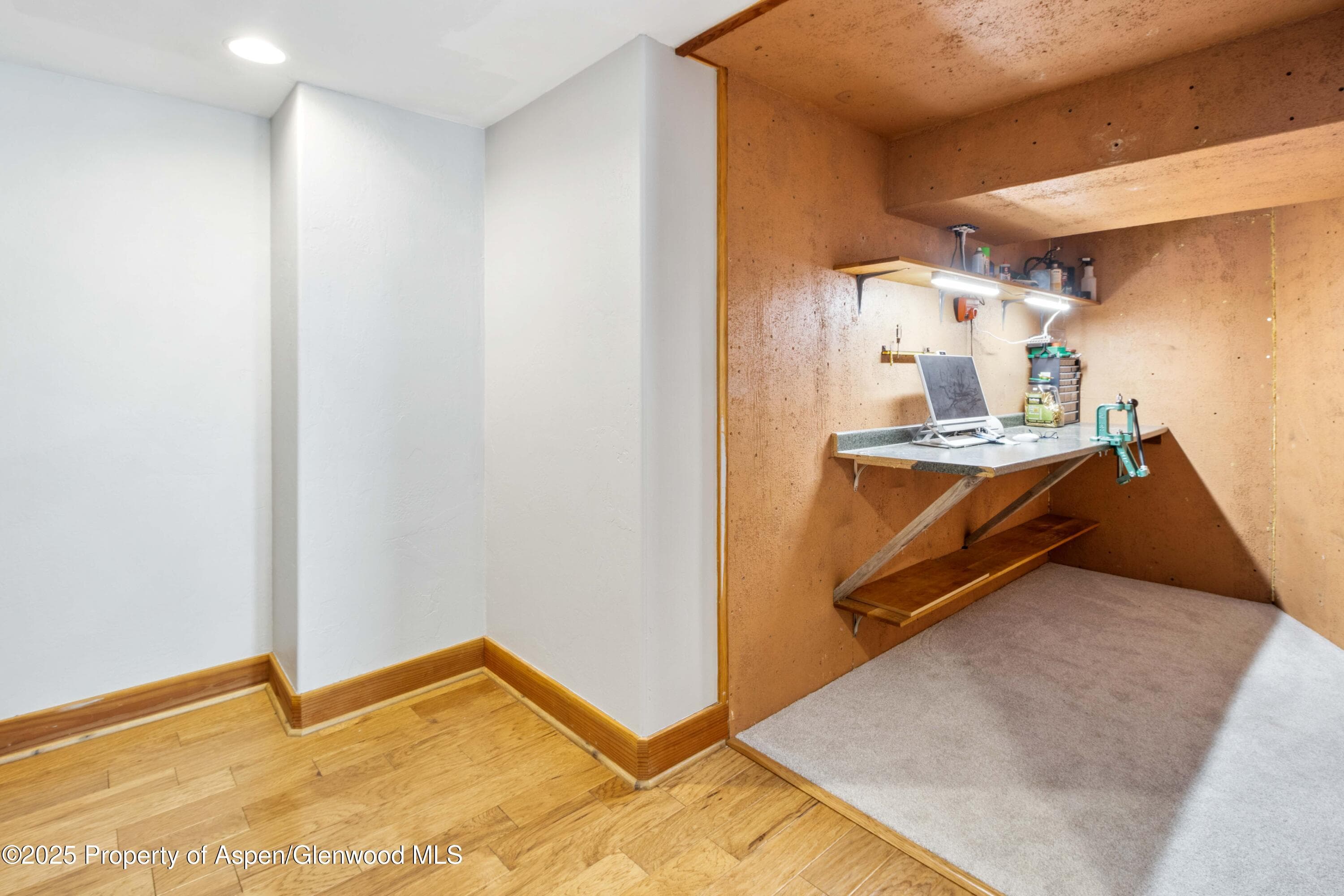 228 Midland Point Road, Carbondale, CO 81623 - Photo 35