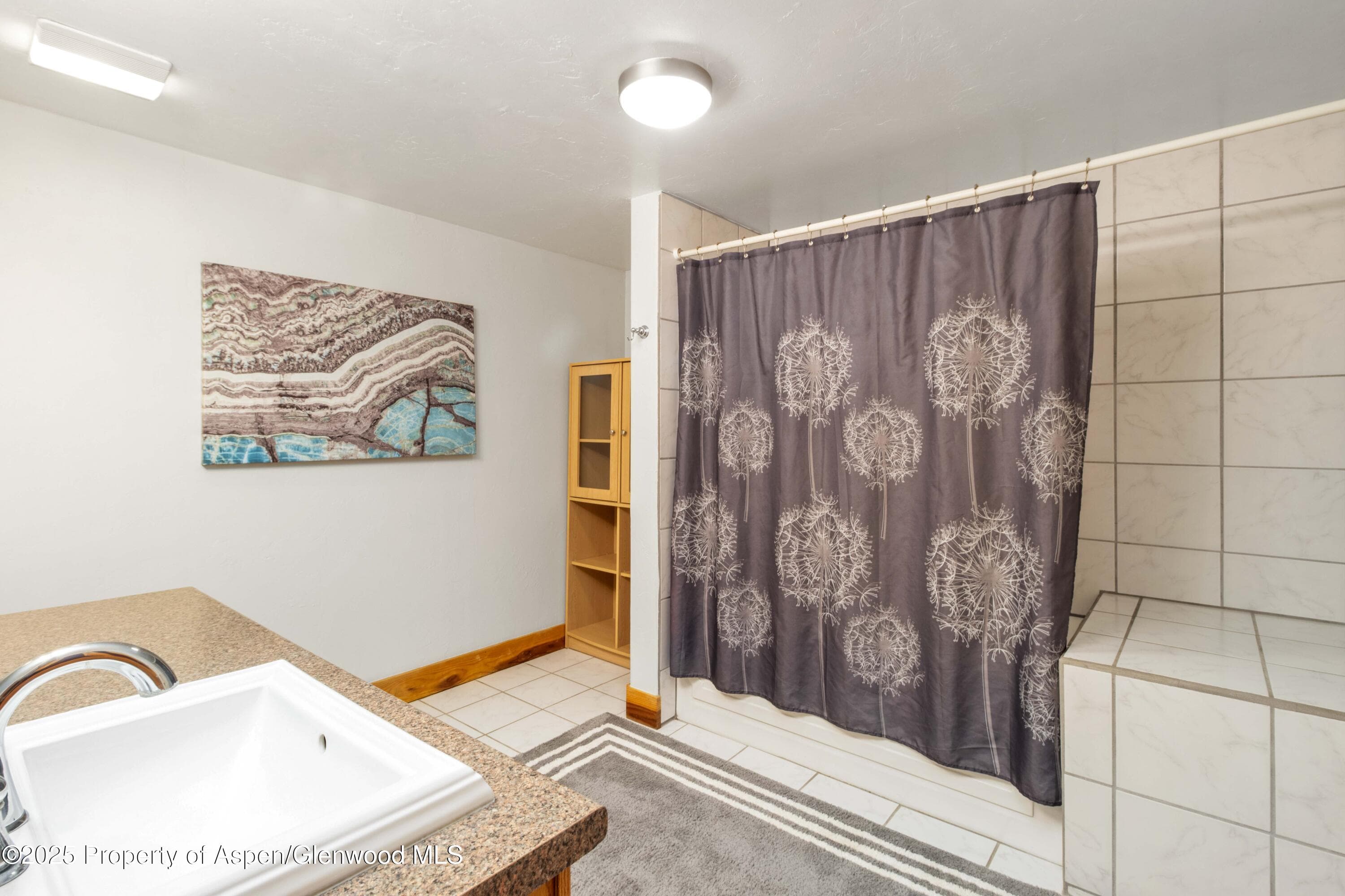 228 Midland Point Road, Carbondale, CO 81623 - Photo 28