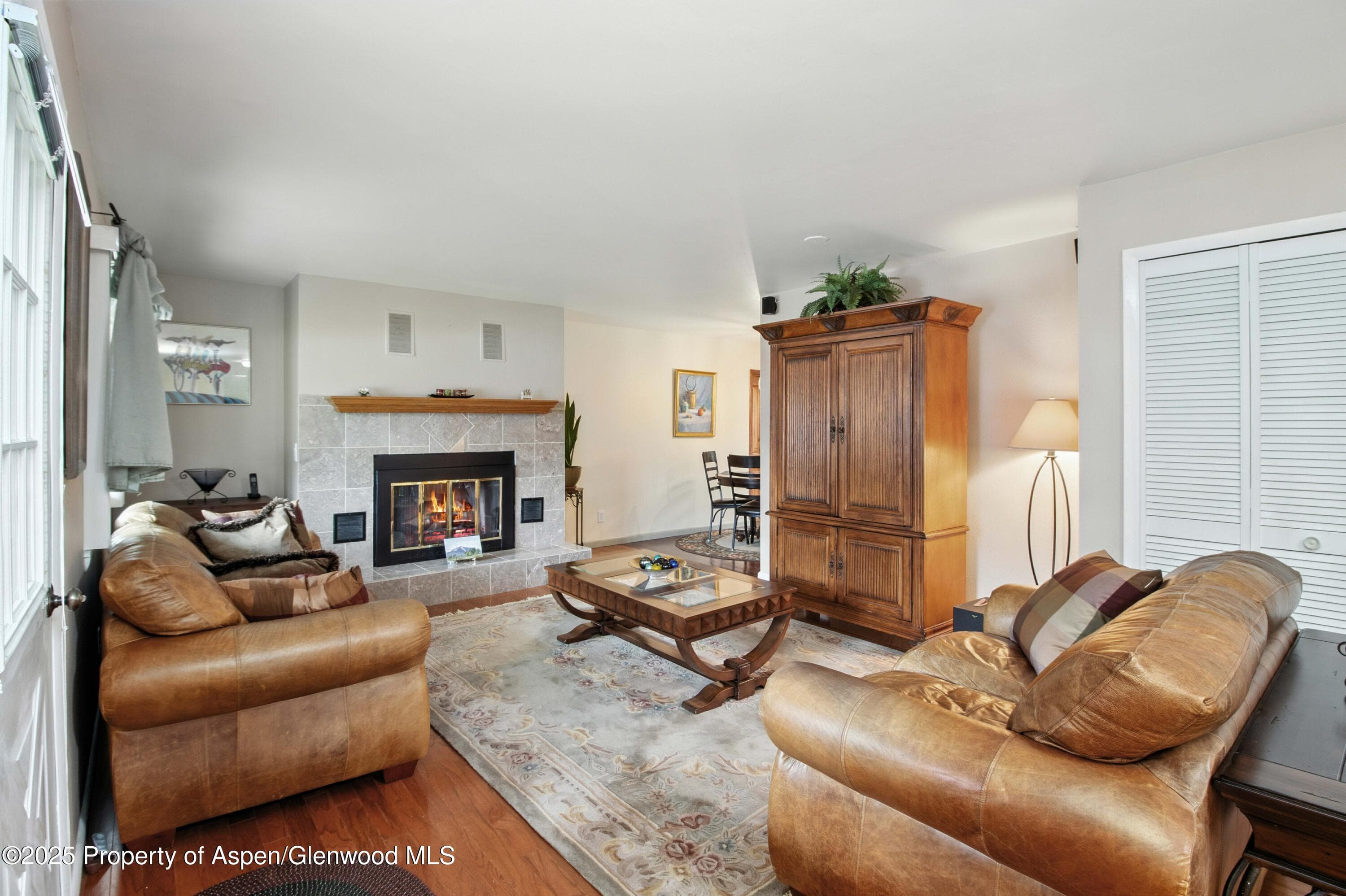 491 MORRISON Street, Carbondale, CO 81623 - Photo 8