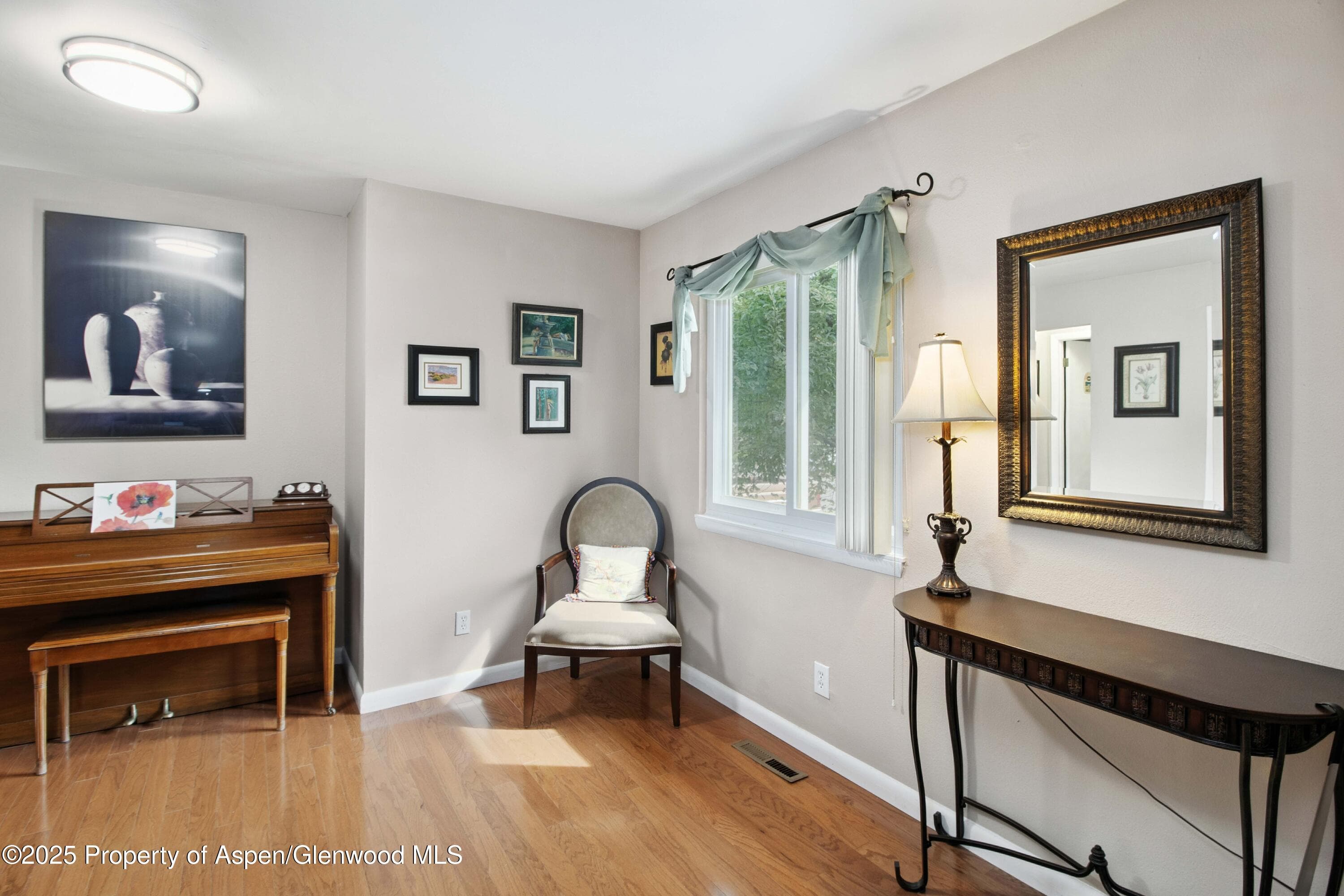 491 MORRISON Street, Carbondale, CO 81623 - Photo 10