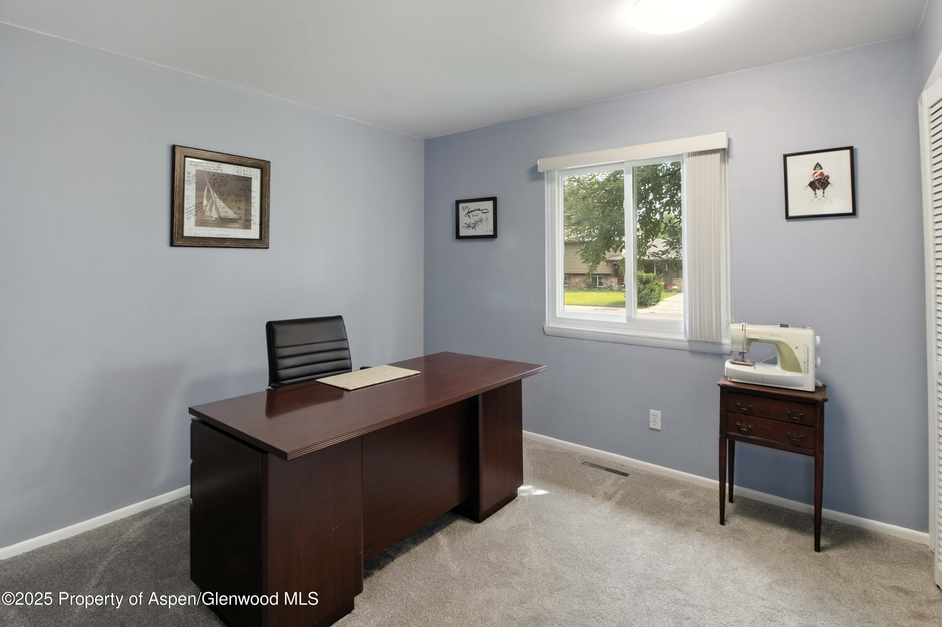 491 MORRISON Street, Carbondale, CO 81623 - Photo 19