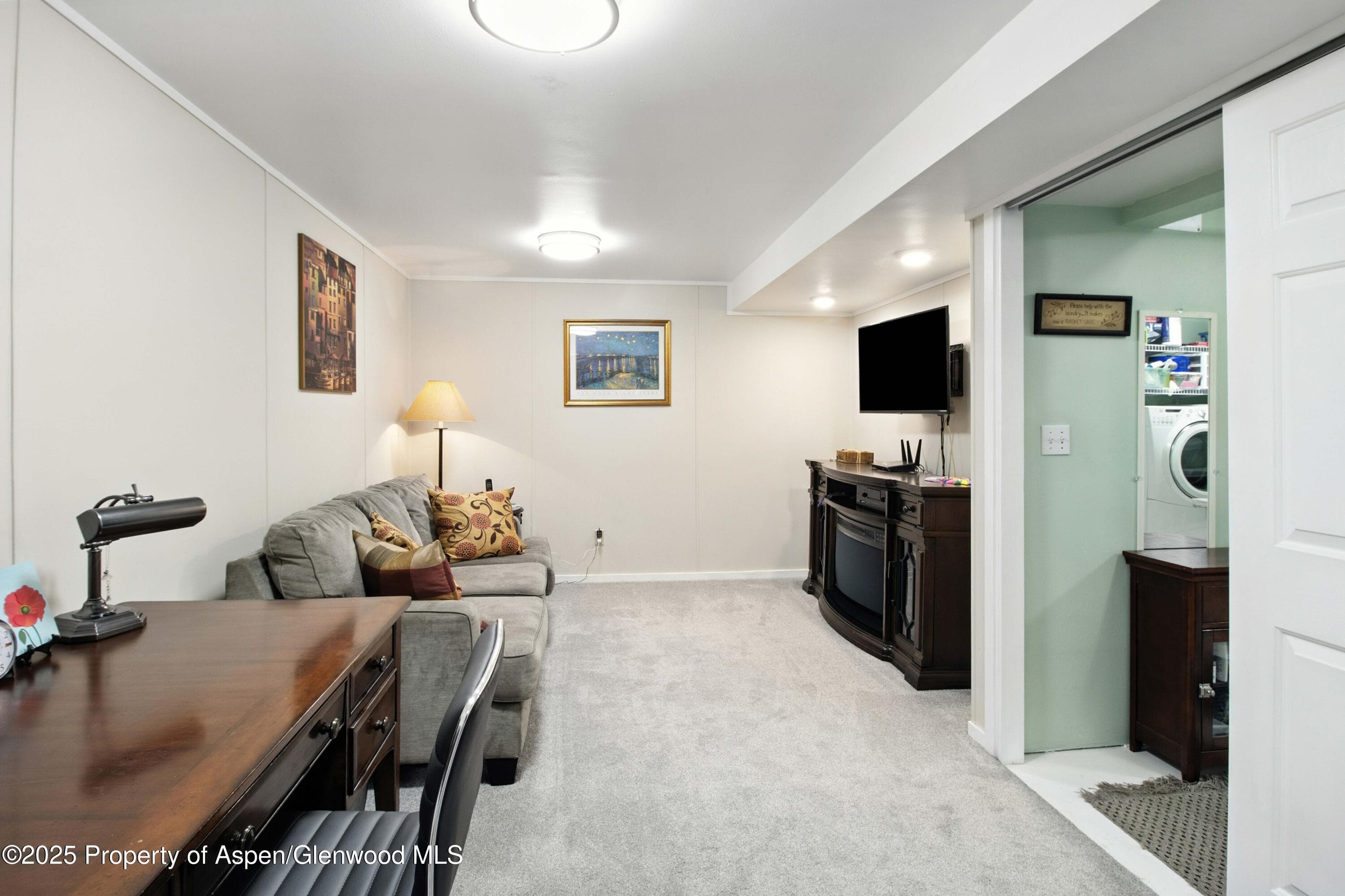 491 MORRISON Street, Carbondale, CO 81623 - Photo 20