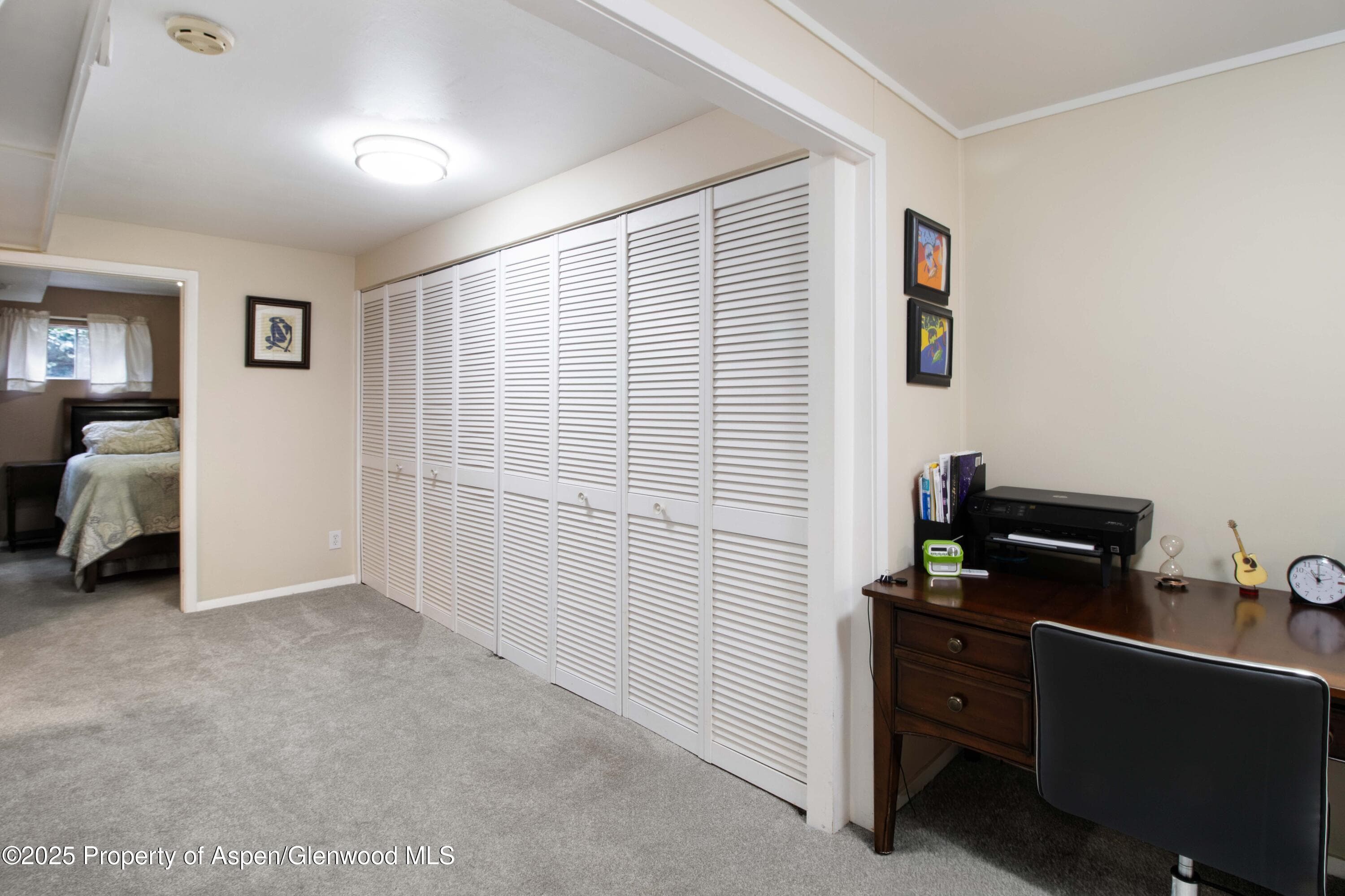 491 MORRISON Street, Carbondale, CO 81623 - Photo 21