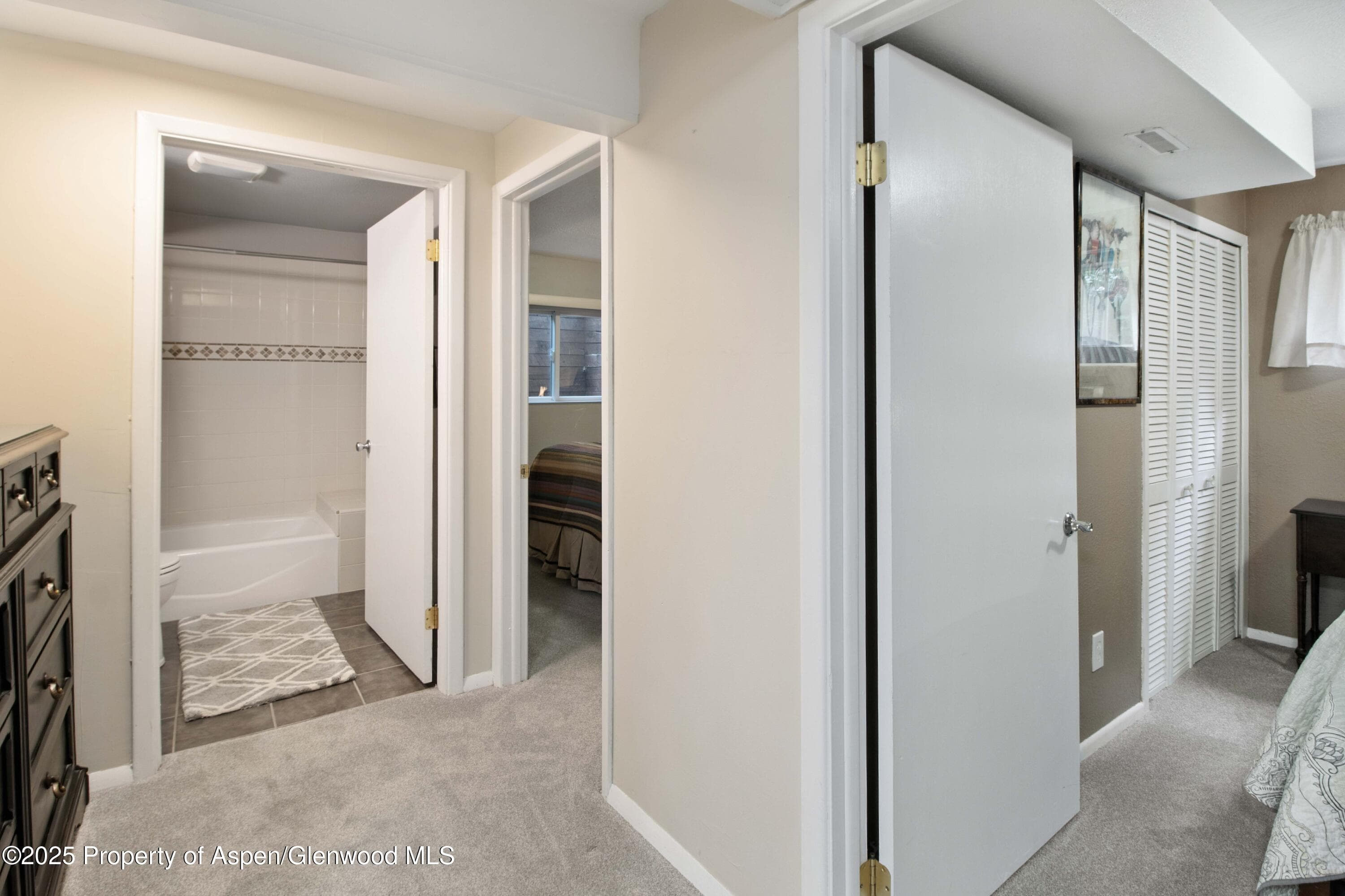491 MORRISON Street, Carbondale, CO 81623 - Photo 22