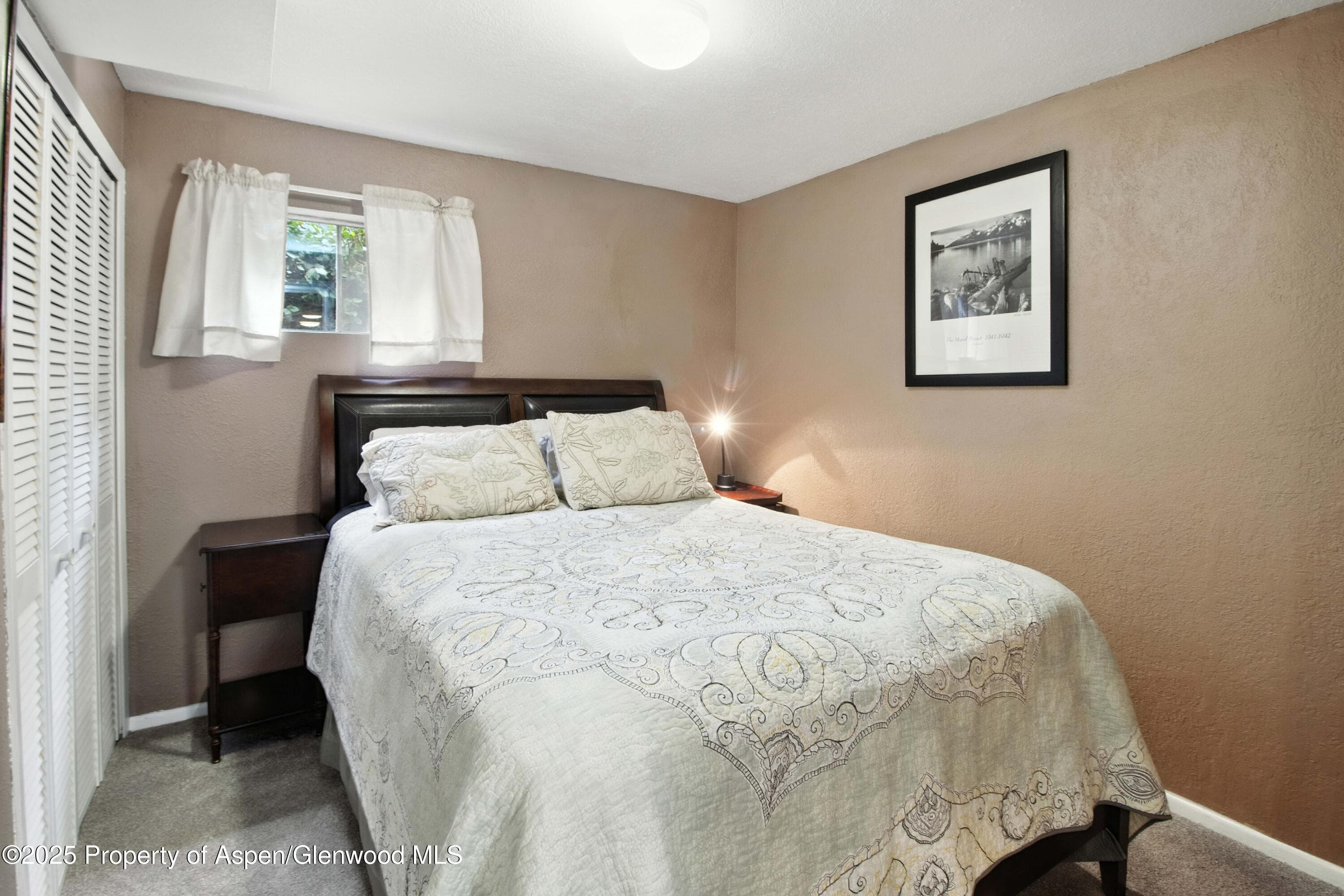 491 MORRISON Street, Carbondale, CO 81623 - Photo 23