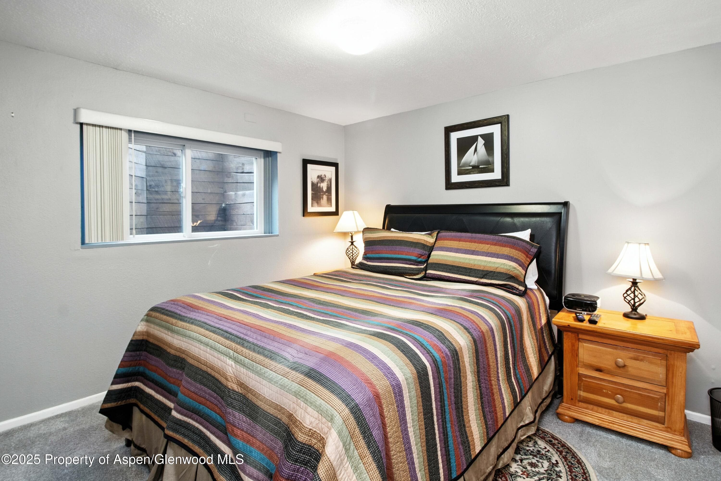 491 MORRISON Street, Carbondale, CO 81623 - Photo 25
