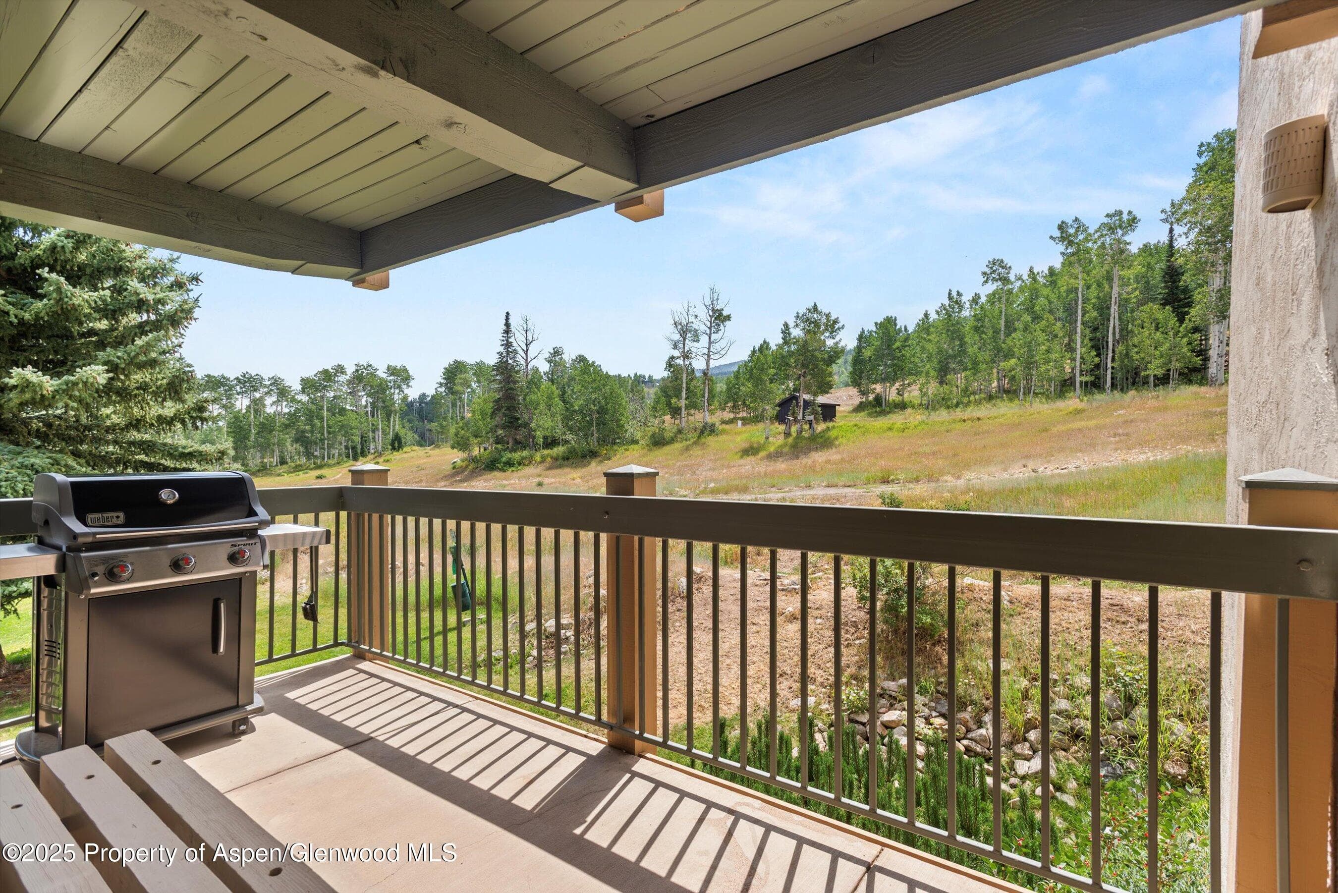 855 Carriage Way Summit 203, Snowmass Village, CO 81615 - Photo 4